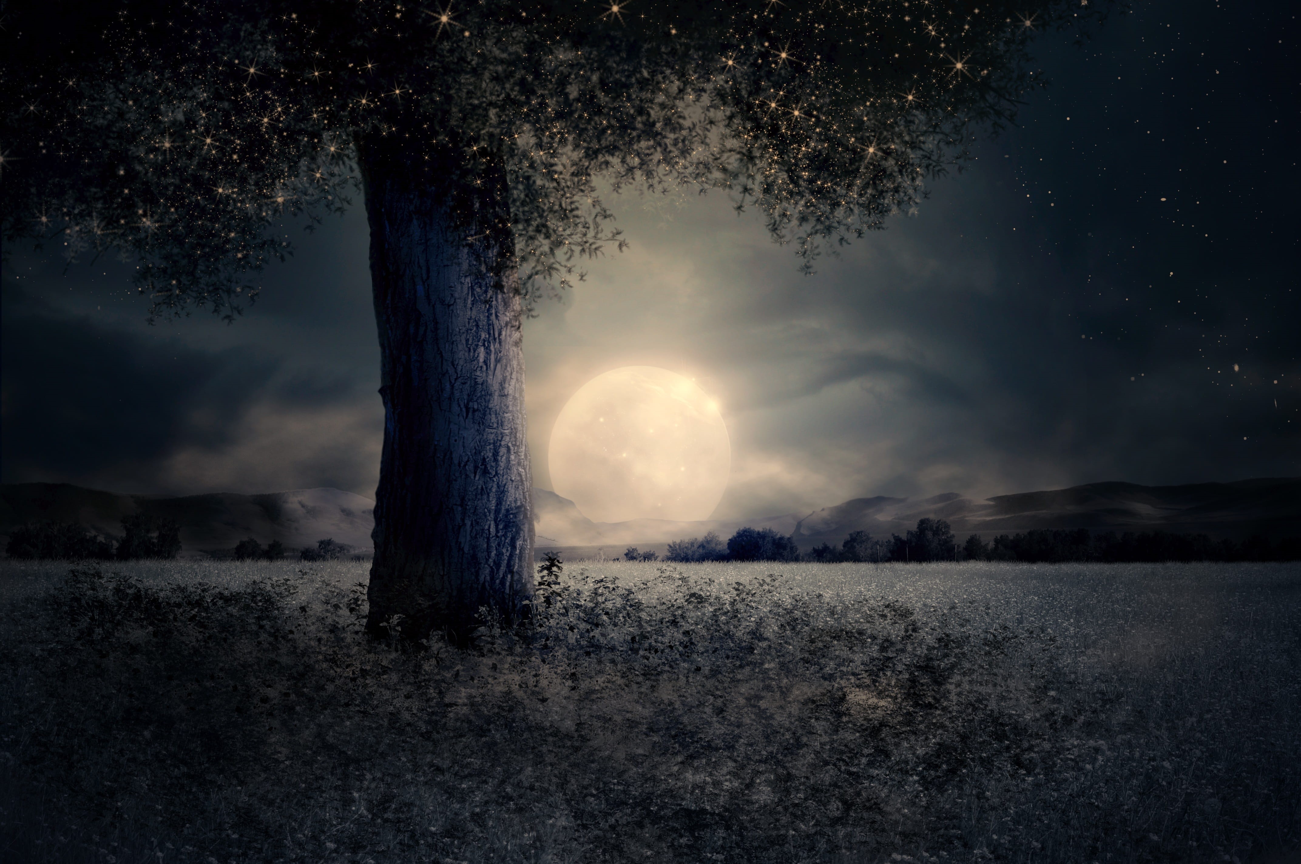 tranquil scene, foliage, full moon, landscape, mysterious, grass, no people, nature, cloud - sky, mountains, green, beauty in nature, moon, night, light, HD Wallpaper
