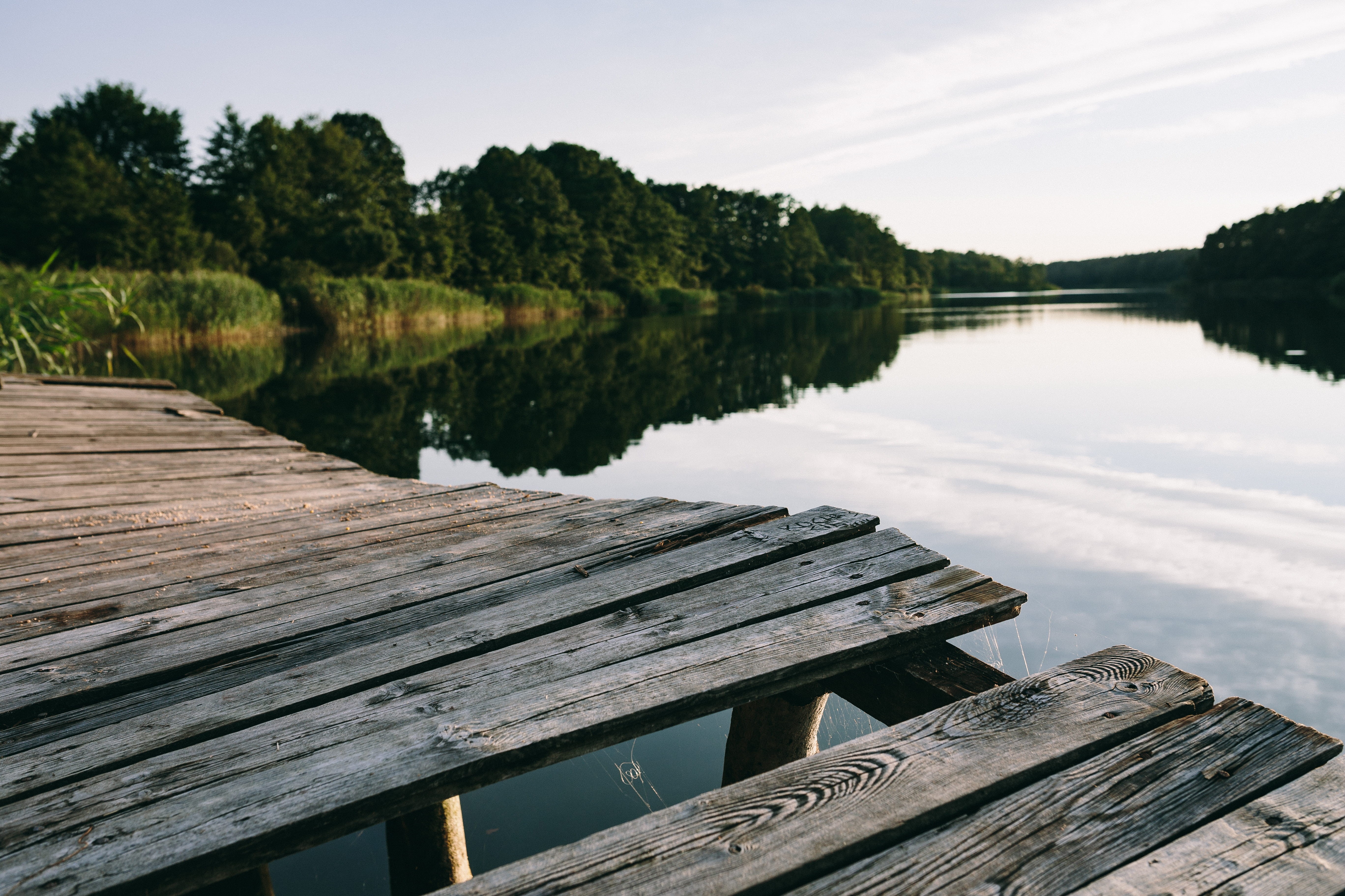 landscape, time, scenics, wood paneling, boy reading book, lake, beauty In Nature, Reading book, no People, non-urban scene, outdoors, plant, tranquility, HD Wallpaper