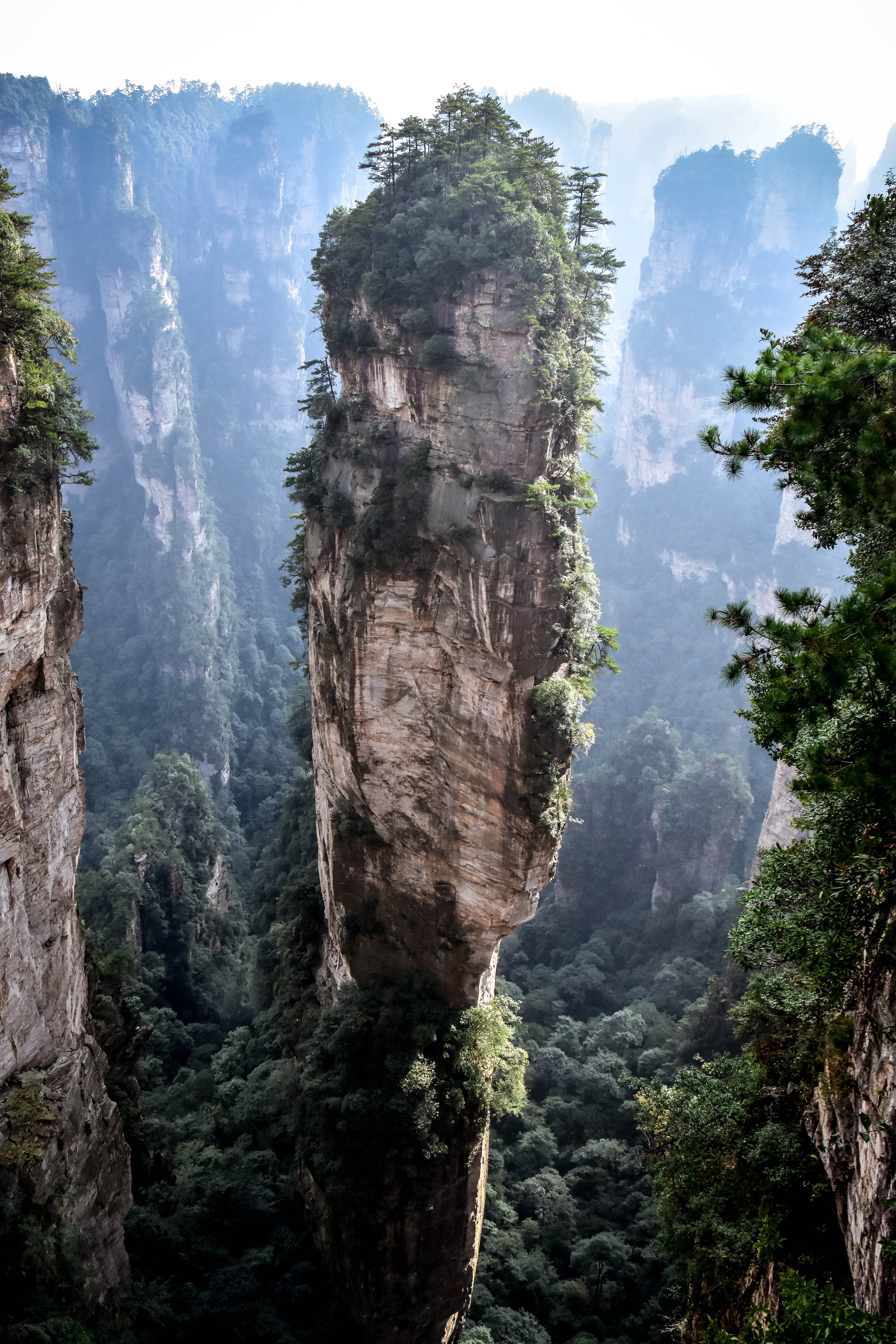 water, nature, forest, mismute, skyscraper, formation, rainforest, zhangjiajie, rock - object, travel destinations, promontory, no people, plateau, rock formation, Phone HD Wallpaper