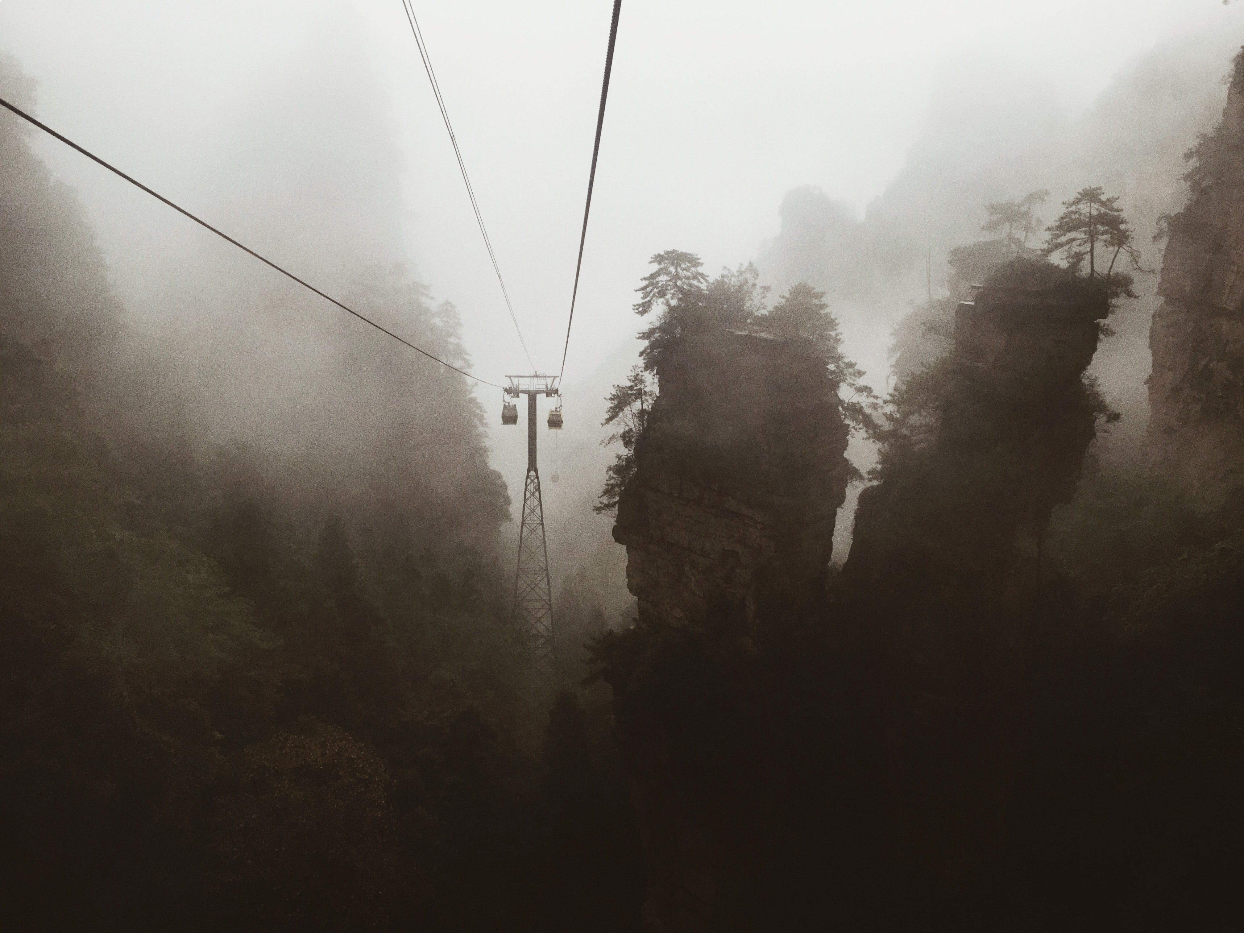  sky, growth, tranquility, tree, cable, tranquil scene, zhangjiajie national forest park, nature, avatar, 4K, zhangjiajie park, zhangjiajie, HD Wallpaper