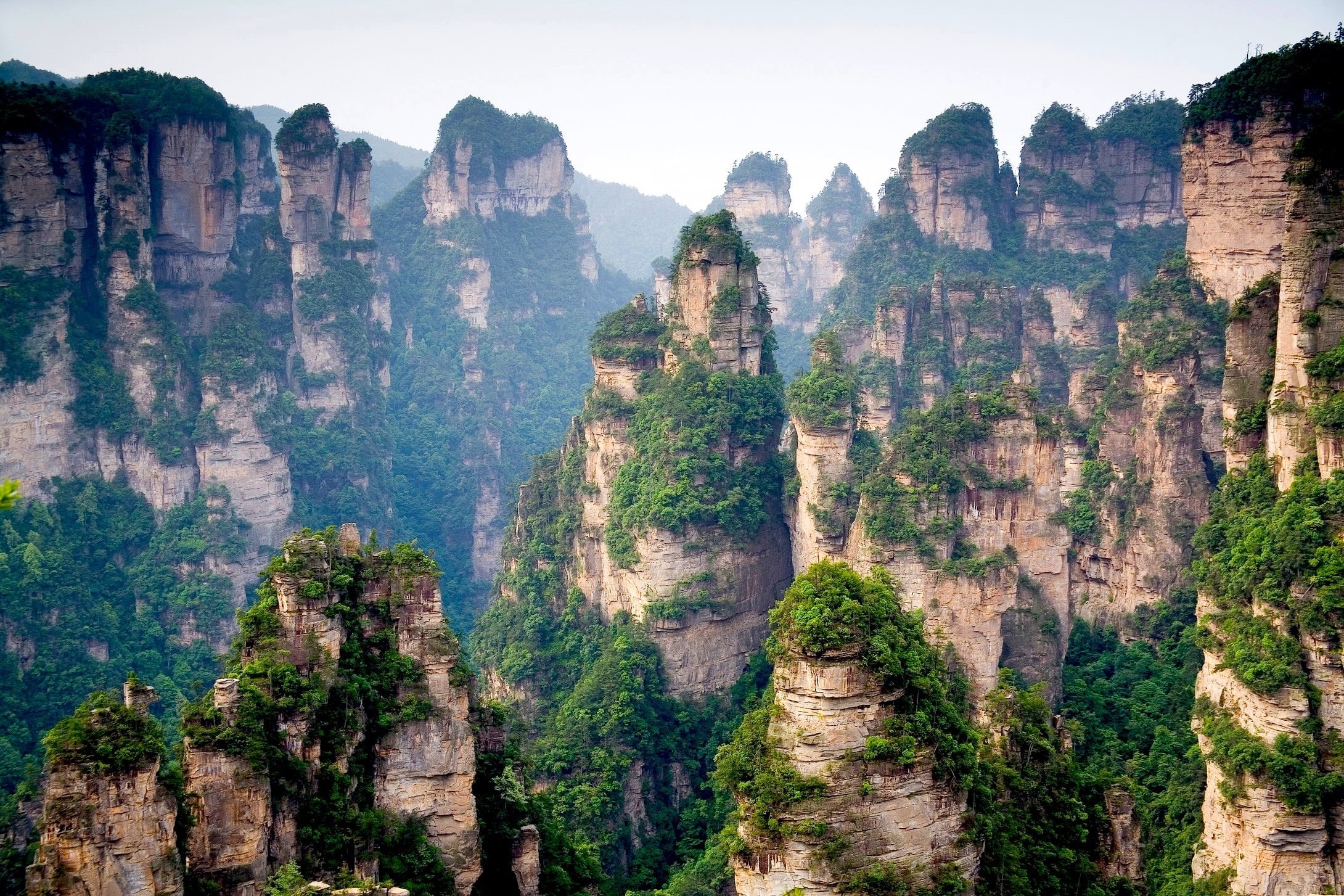 travel, tranquility, rock formation, rocks, gray, famous Place, canyon, rock, formation, tranquil scene, tops, asia, forest, environment, hunan Province, HD Wallpaper