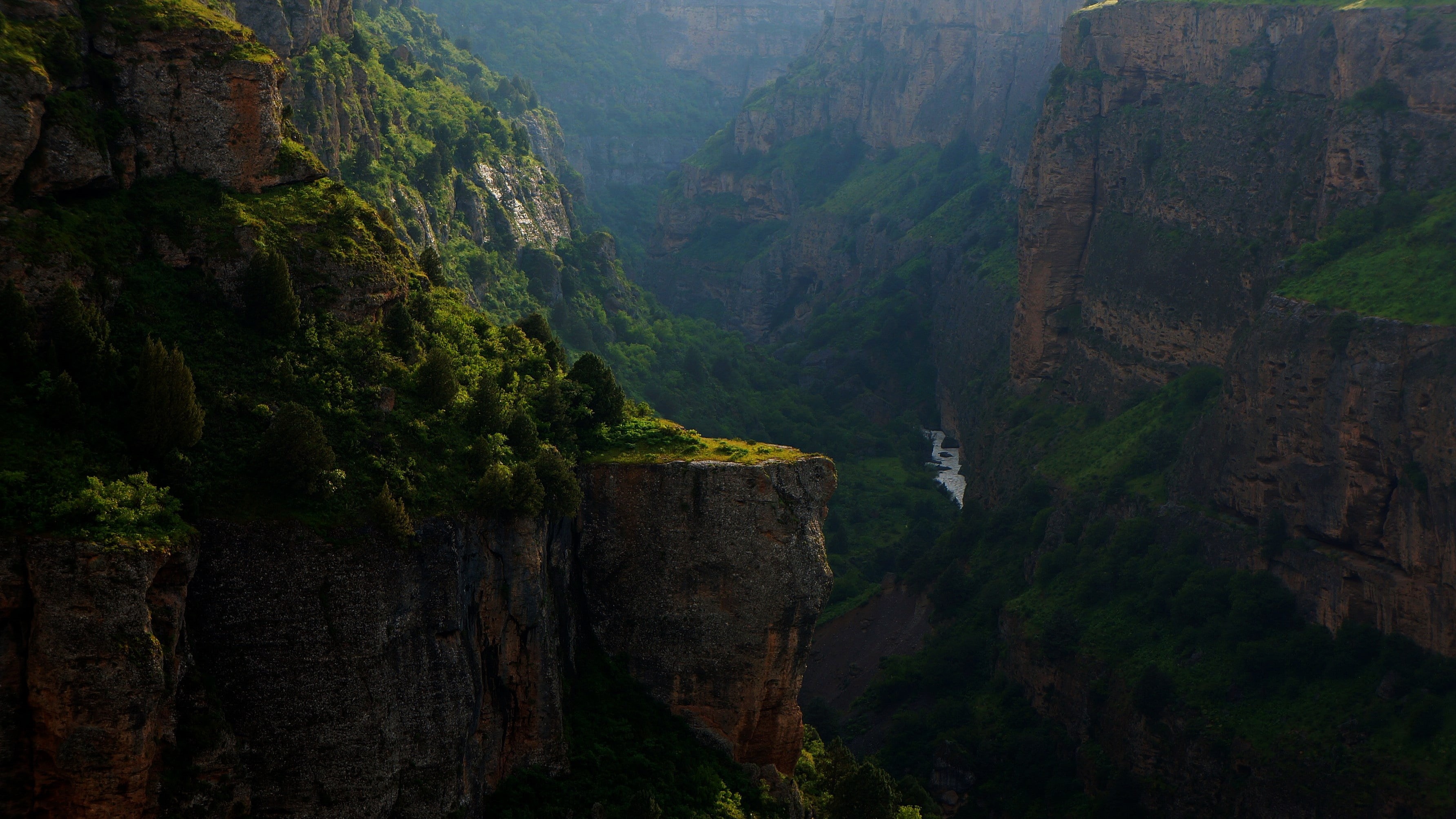plants, tranquil scene, brown, cultures, stone - Object, rock formation, forest, environment, sky, zhangjiajie, mountains, tourism, hunan Province, asia, HD Wallpaper