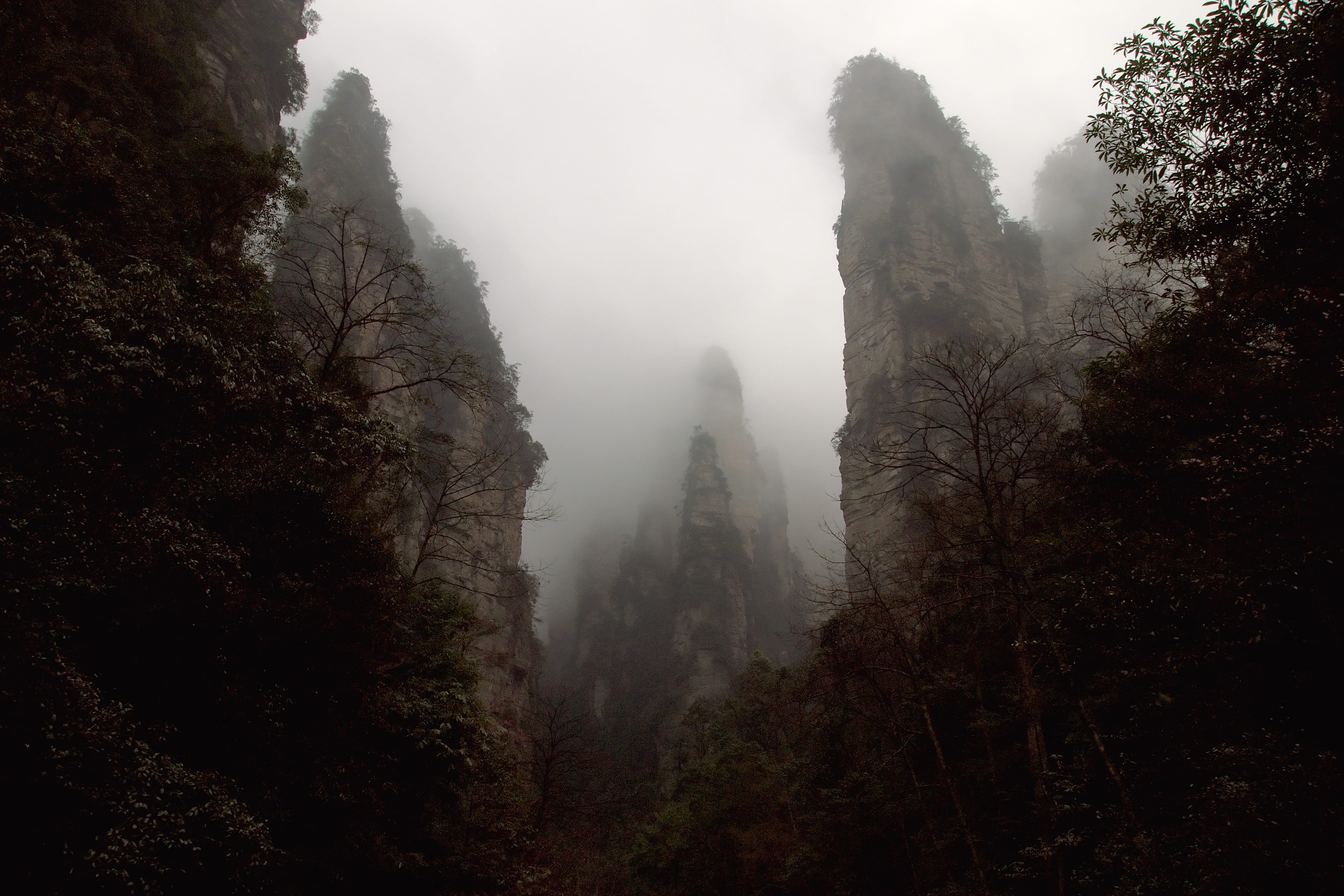 mountain, sky, 4K, china, day, mountains, scenics - nature, remote, tree, trees, no people, clouds, idyllic, environment, tranquility, zhangjiajie, outdoors, HD Wallpaper