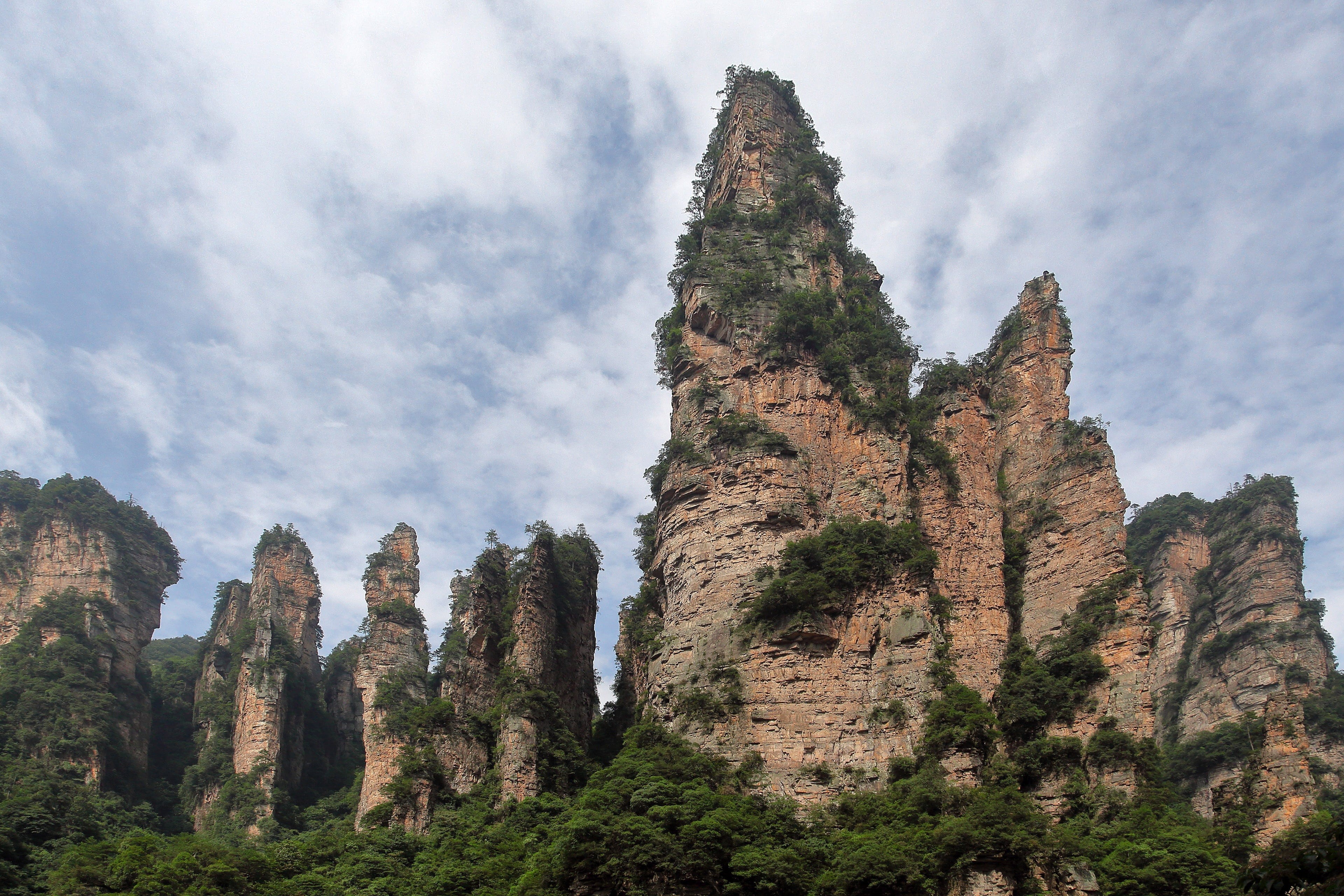 plant, 4K, formation, tranquility, wulingyuan, rock, sky, solid, tranquil scene, tree, pine tree, mountain, day, scenics - nature, non-urban scene, beauty in nature, HD Wallpaper