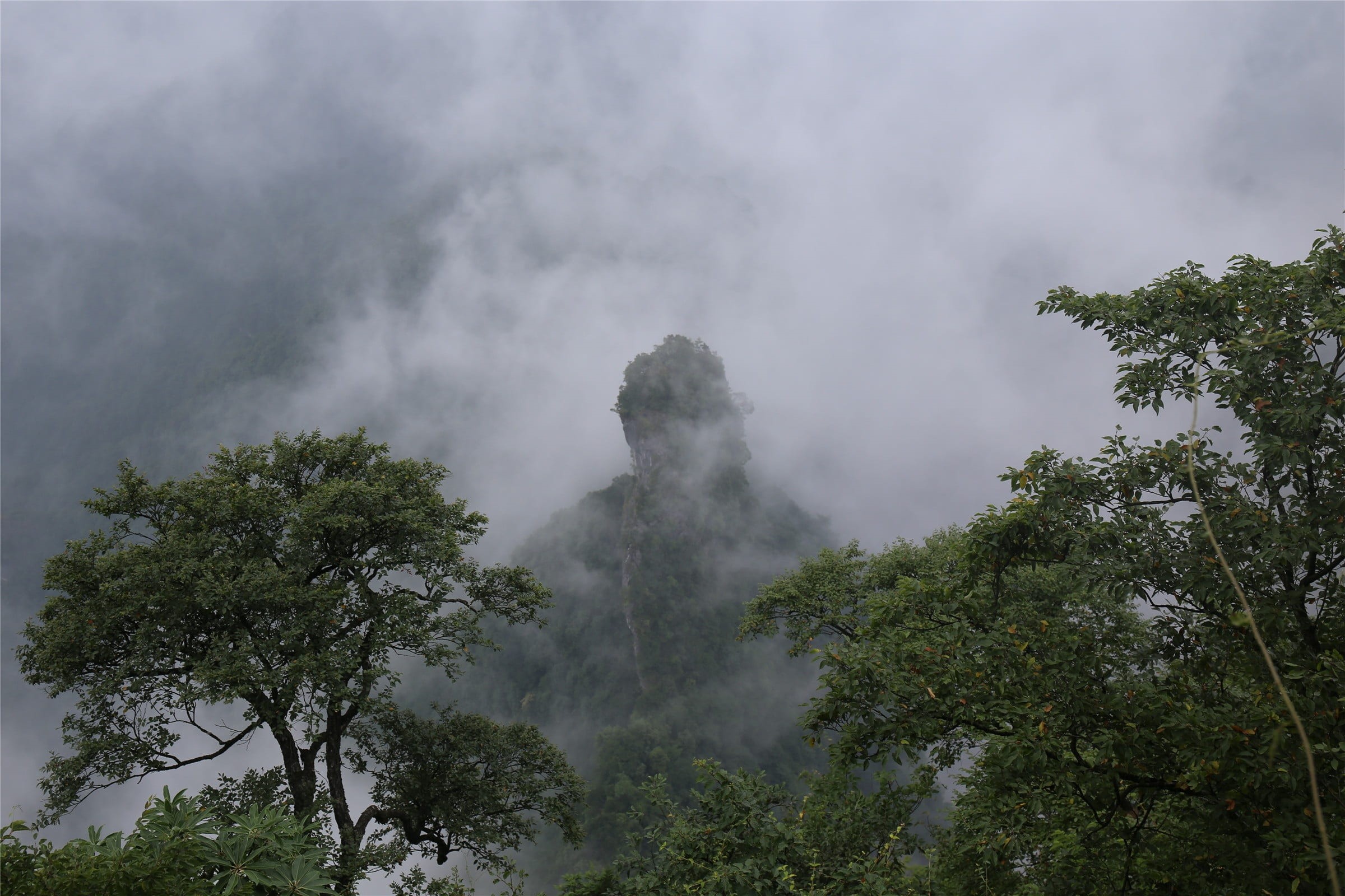 plant, tourism, power in nature, tianmen mountain, sky, environment, forest, green color, scenics - nature, outdoors, cloud - sky, beauty in nature, fog, HD Wallpaper