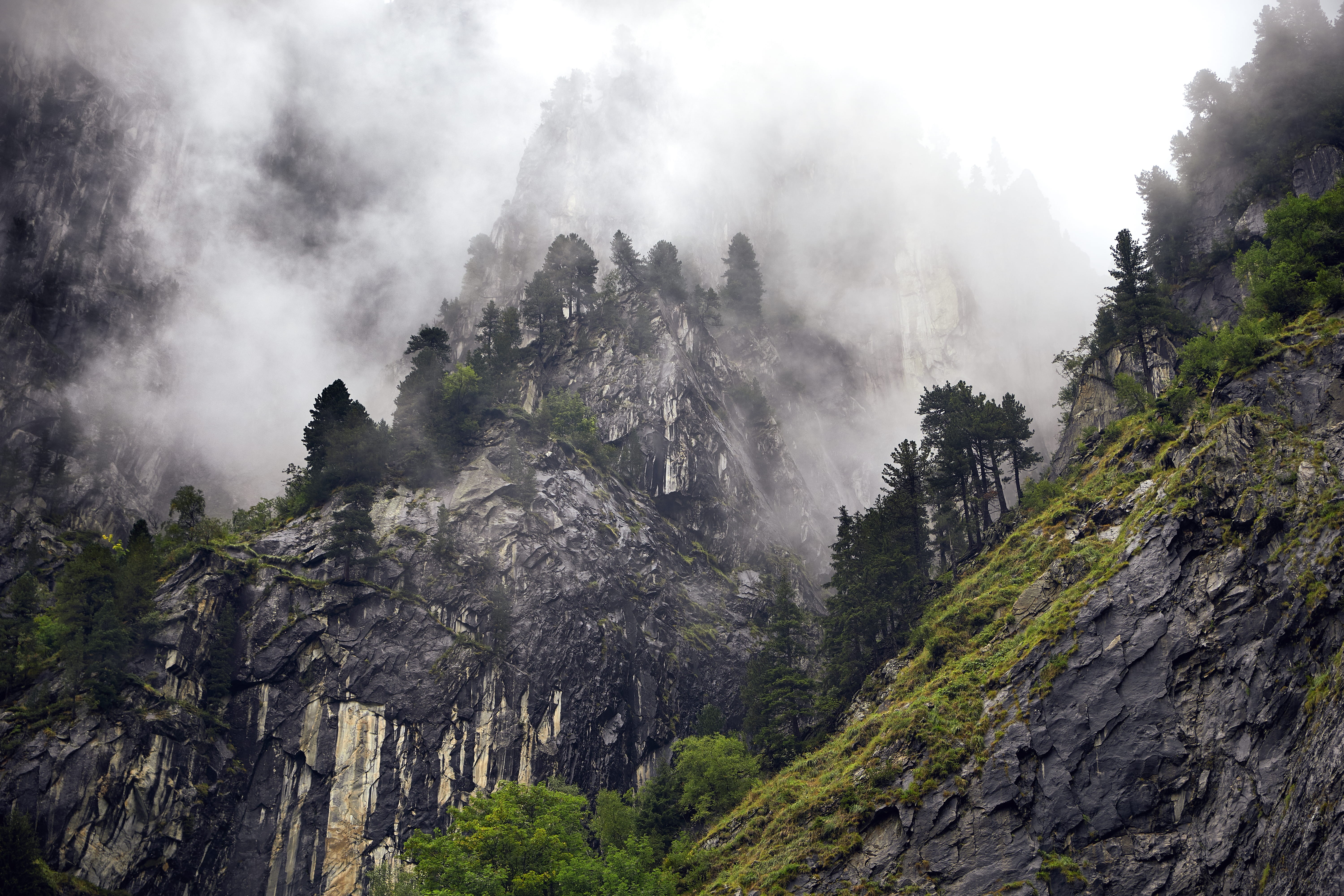 mist, rain, travel, cloudscape, forest, cliff, hill, valley, outdoors, beauty In Nature, tyrol, grass, hiking, tourism, wulingyuan Scenic Area, misty, cloud - Sky, HD Wallpaper
