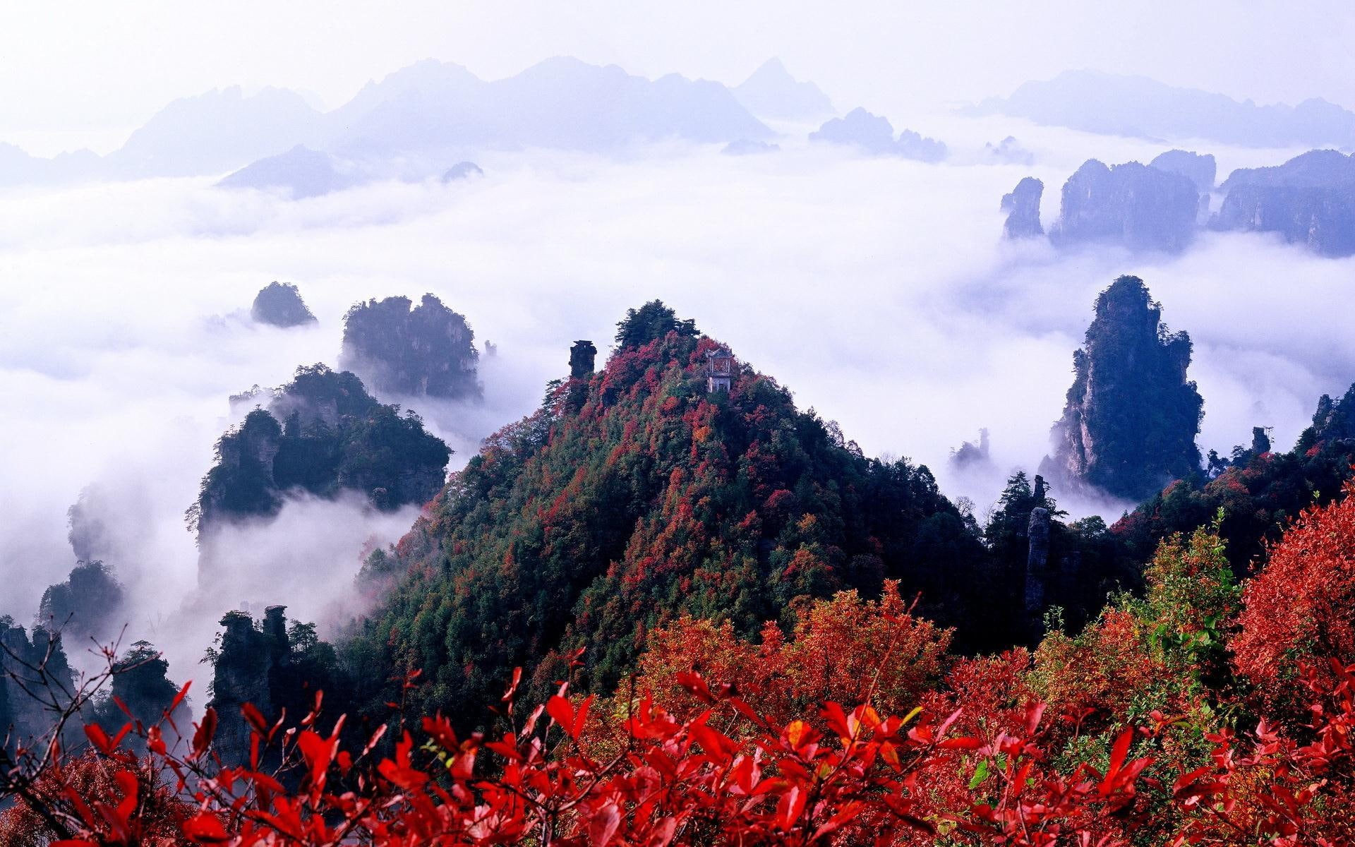 1080P, nature, 3d and abstract, zhangjiajie, beautiful, colors of nature, picture, china, colors, HD Wallpaper