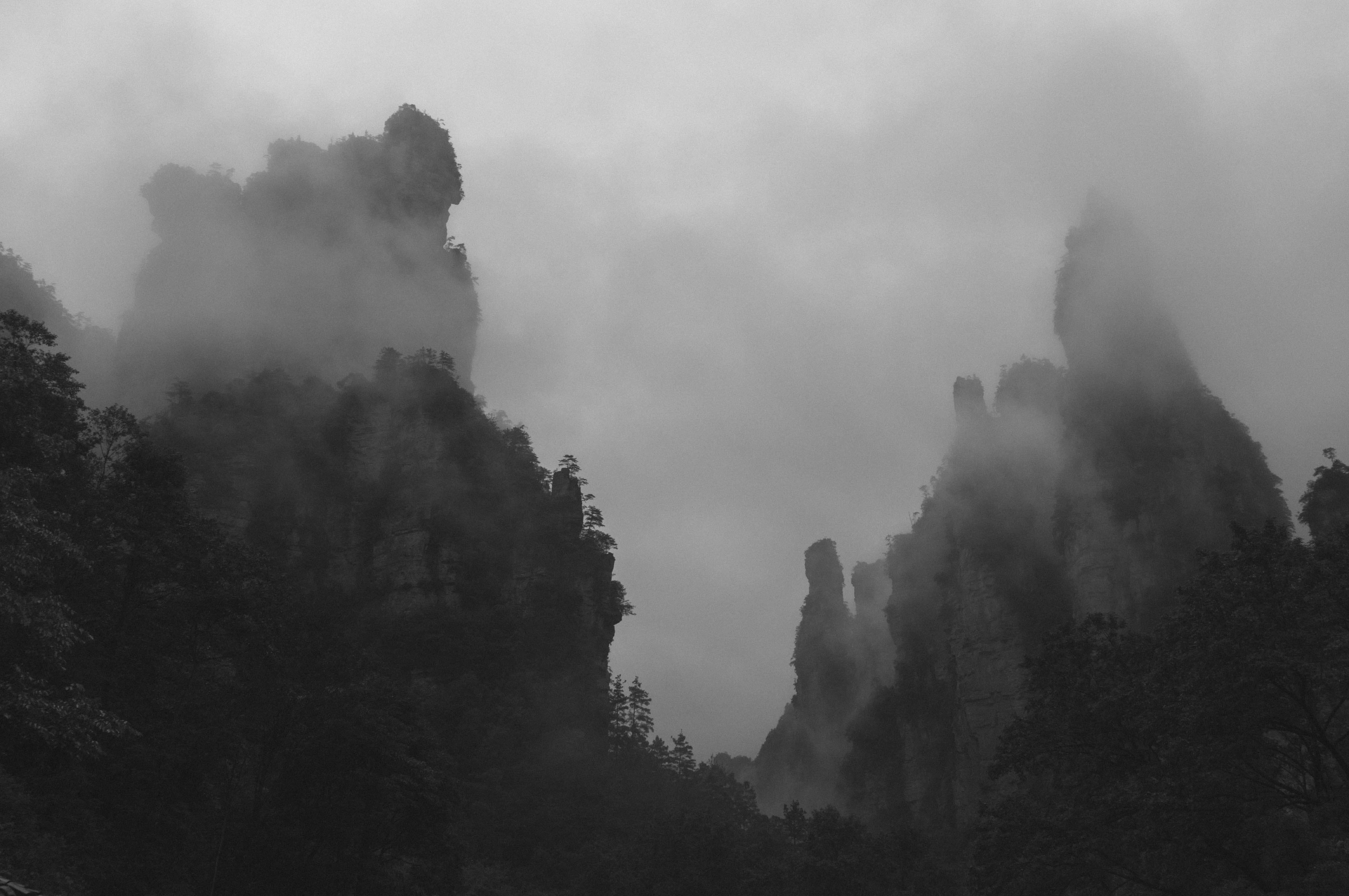 rock formation, no people, plant, china, grey, foggy, smoke - physical structure, sky, zhangjiajie, non-urban scene, black and white, mountains, day, land, HD Wallpaper