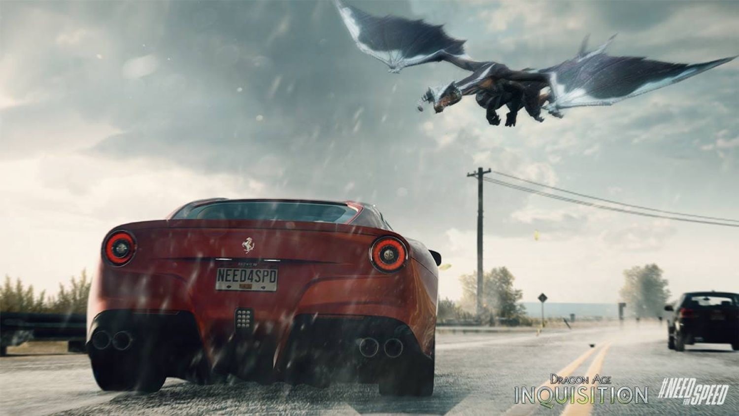 outdoors, on the move, rain, day, motion, group of animals, transportation, motor vehicle, flying, bird, Need for Speed: Rivals, land vehicle, HD Wallpaper