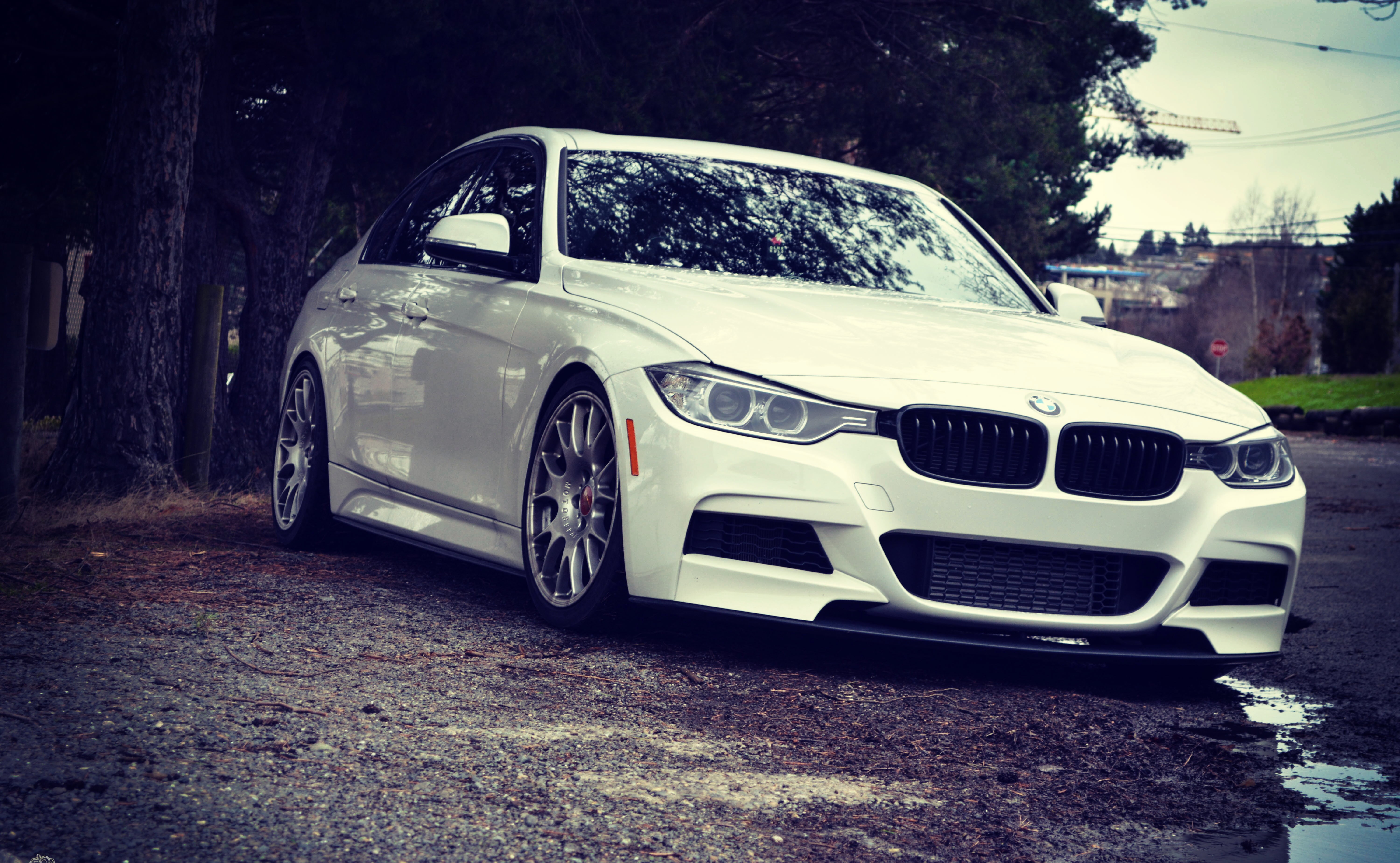 front View, tree, silver colored, classic, elegance, speed, nature, stance, new, car, BMW, no People, sedan, luxury, old-fashioned, old, vintage car, stationary, HD Wallpaper