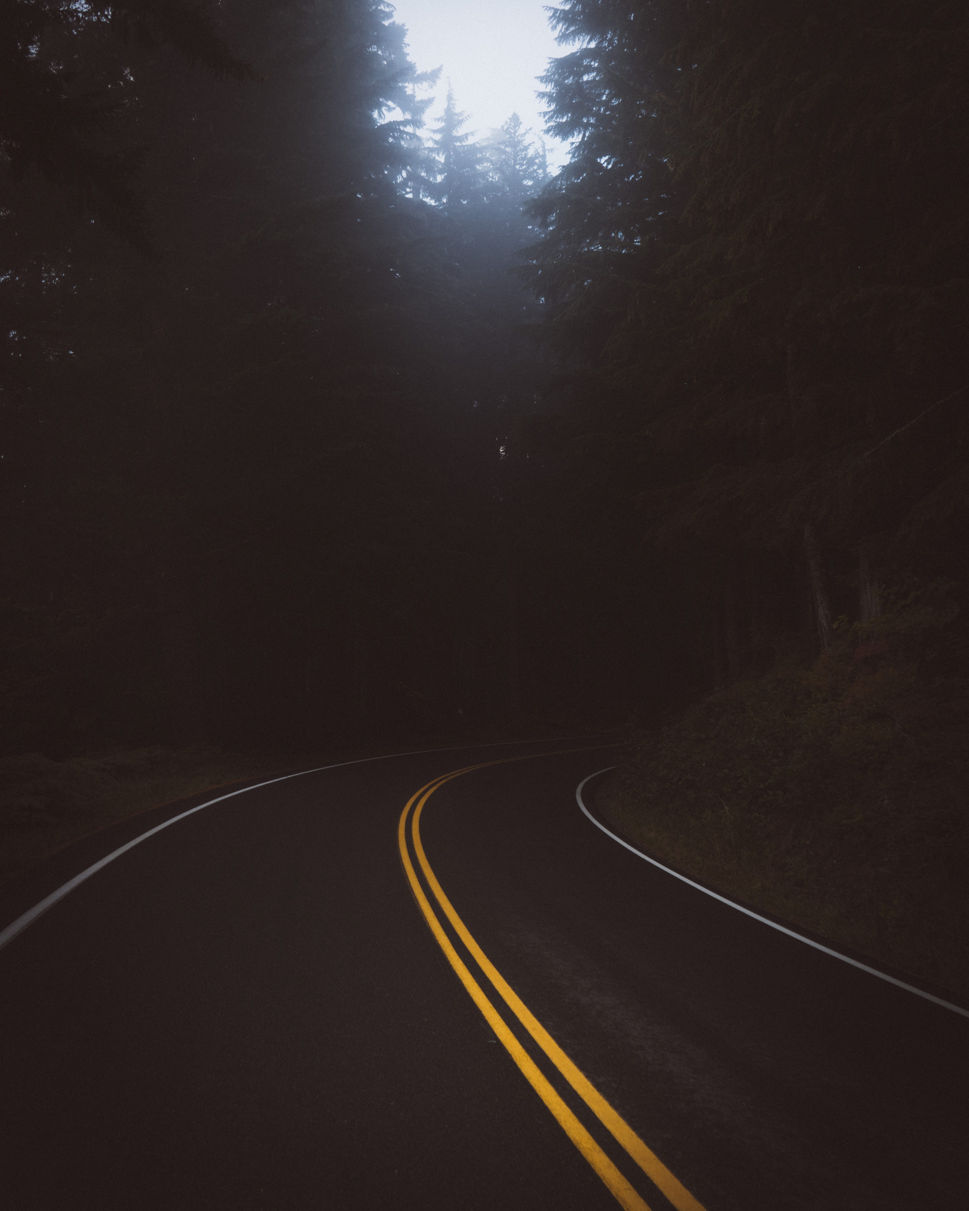 outdoors, tree, time, daytime, trees, sign, curve, symbol, travel, direction, street, landscape, forest, route, green, road marking, double yellow line, Phone HD Wallpaper