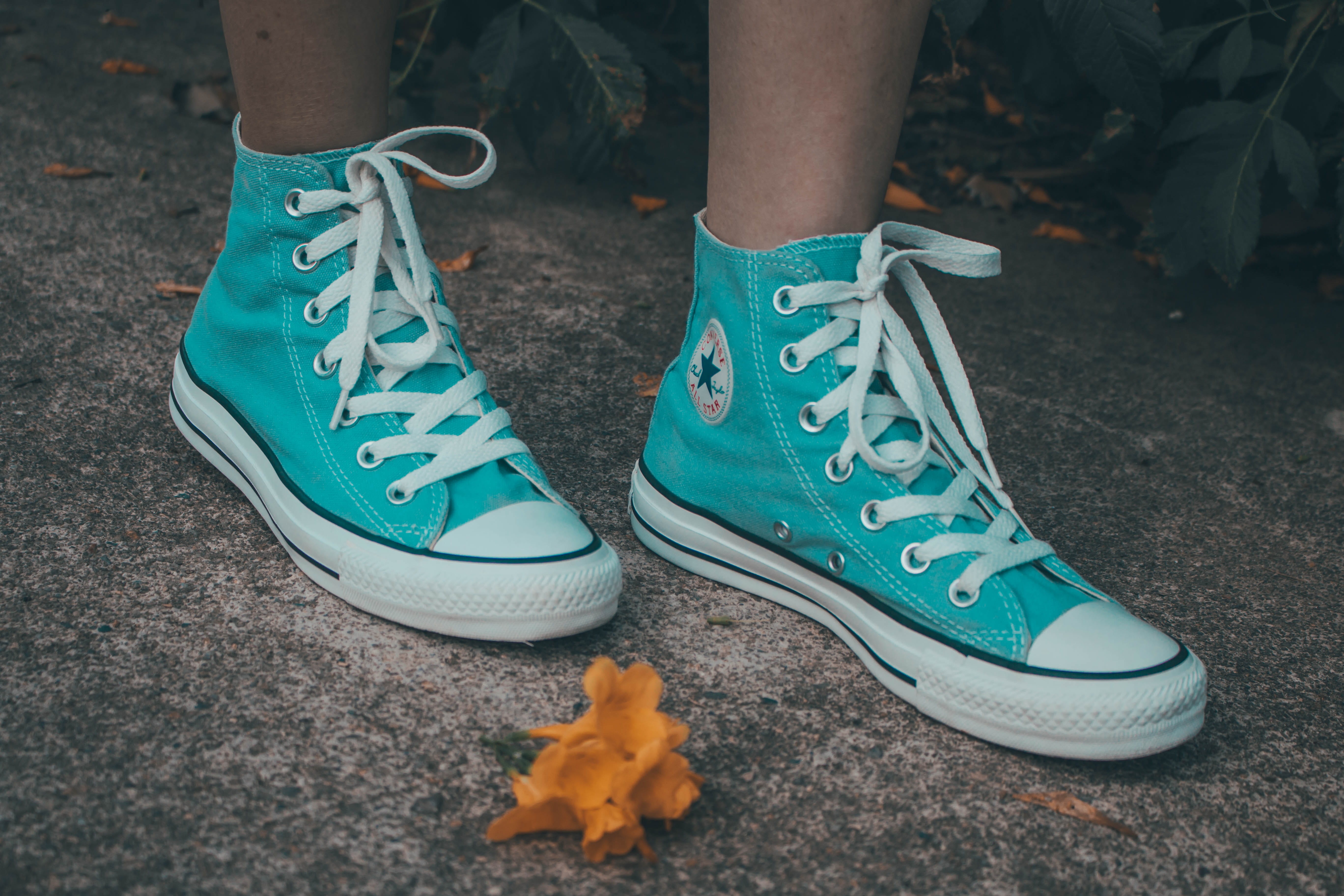 apparel, footwear, star, fashion, wheel, body part, human foot, close-up, machine, canvas, running shoe, high, low section, human leg, tire, blue, human, HD Wallpaper