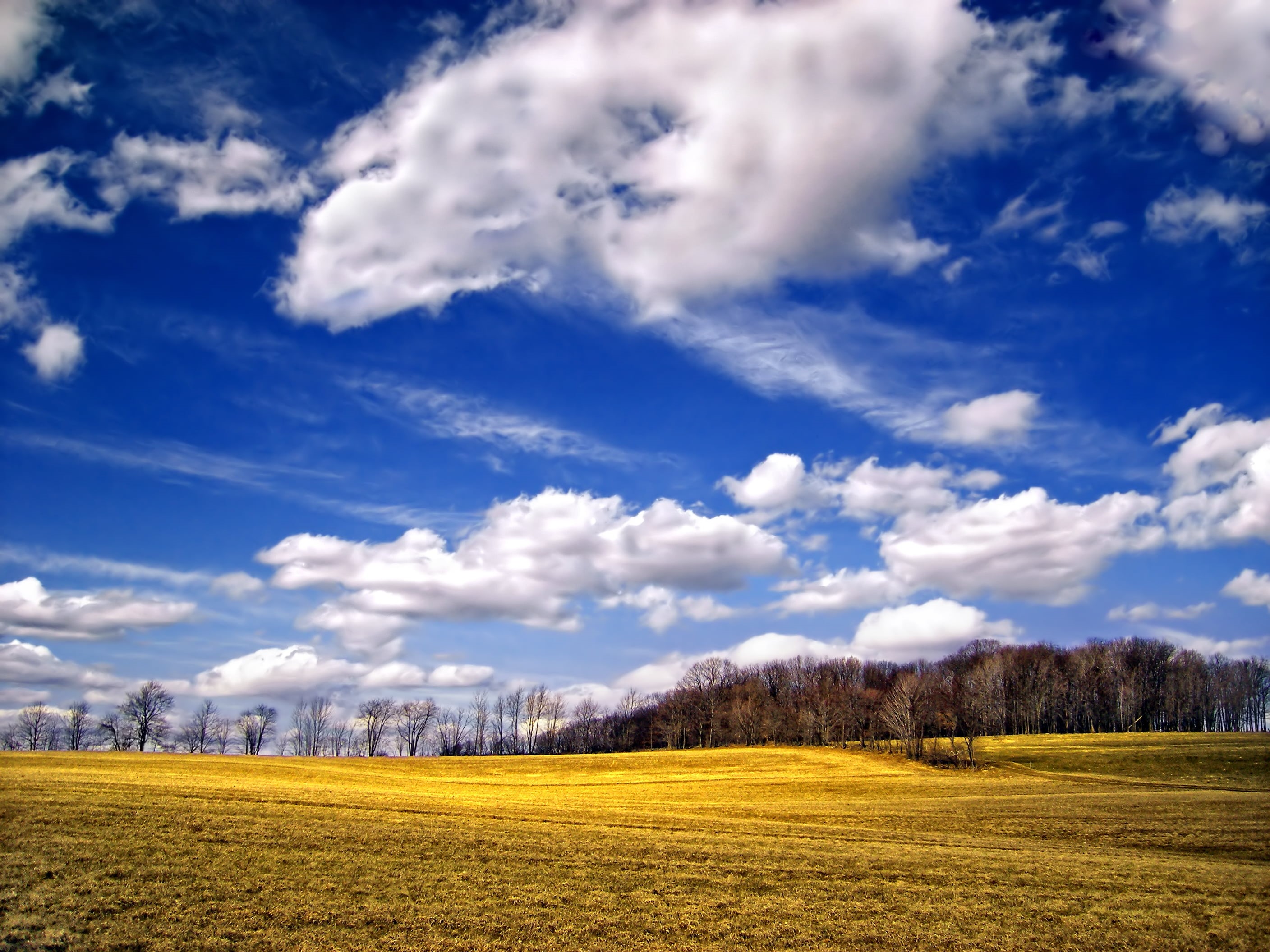 non-Urban Scene, green Color, High  green, sky, nature, springtime, 2K, blue, spring, meadow, green, cloud - Sky, Pennsylvania, beauty In Nature, grass, HD Wallpaper