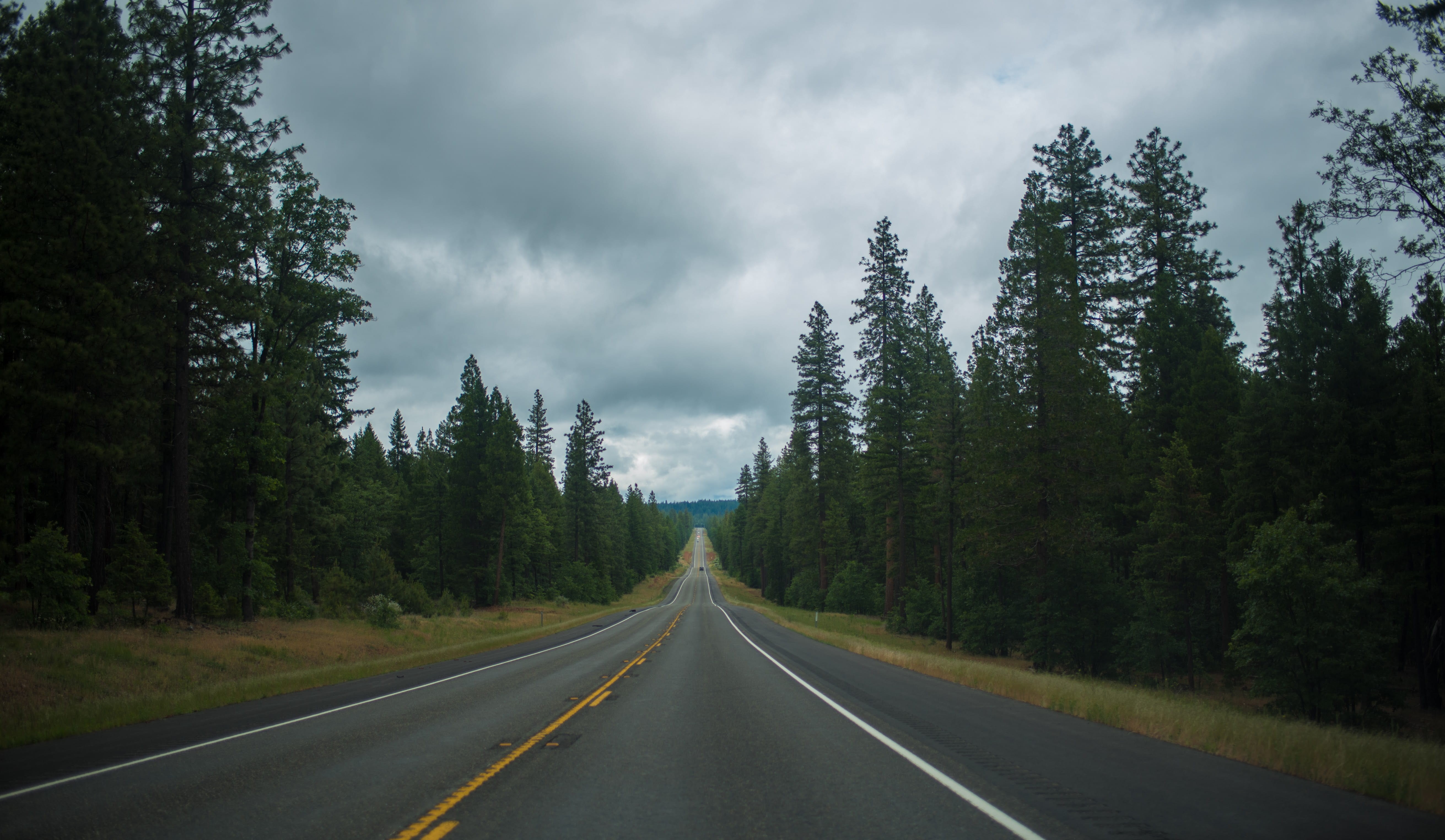 bend, marking, plant, abies, sky, tree, no people, symbol, highway, road marking, mbicca, endless, transportation, fir, pacific northwest, land, road, usa, HD Wallpaper