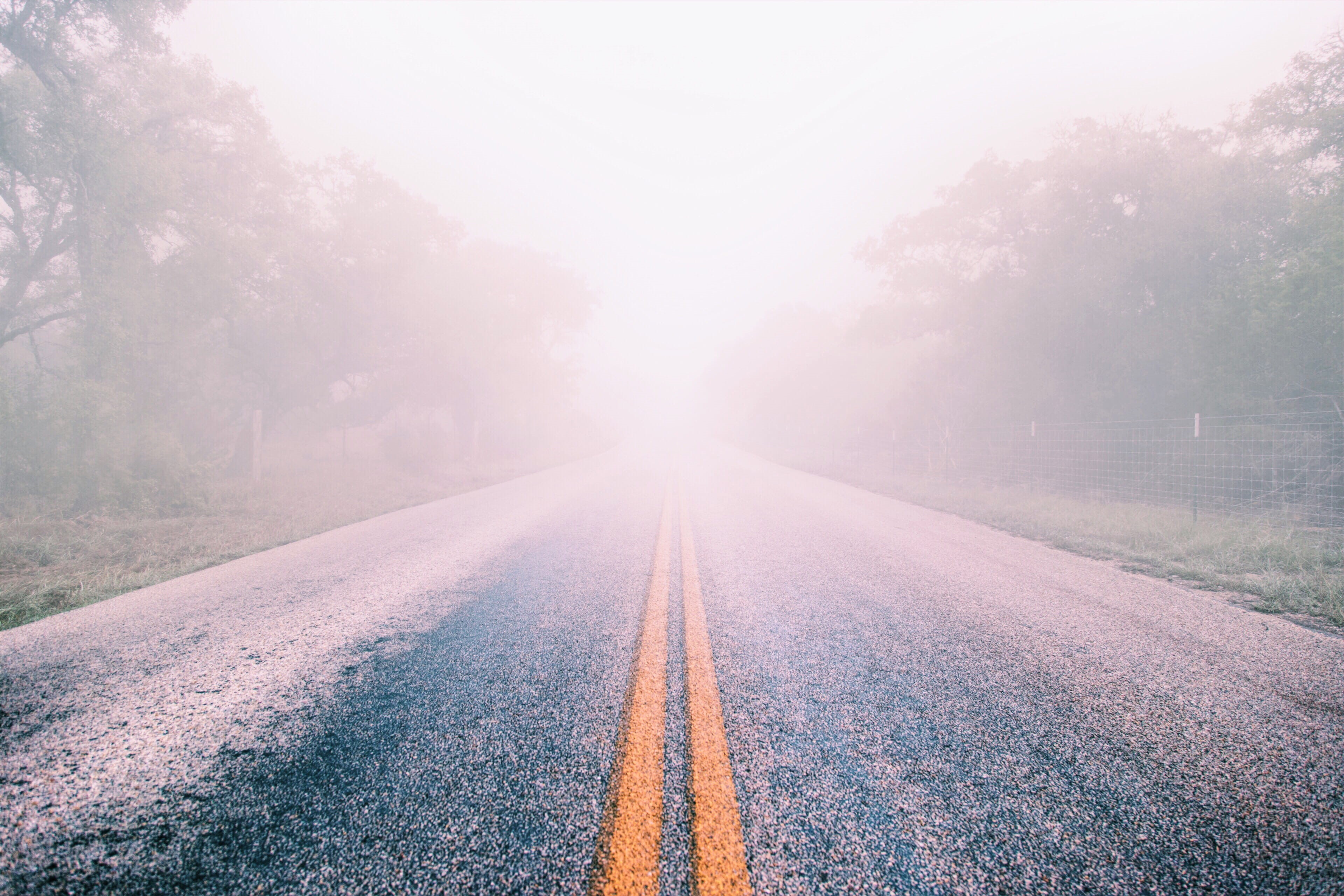 outdoors, tranquility, clear, no People, green, land, plant, 4K, sky, transportation, grey, street, gray, the way forward, fog, diminishing perspective, HD Wallpaper