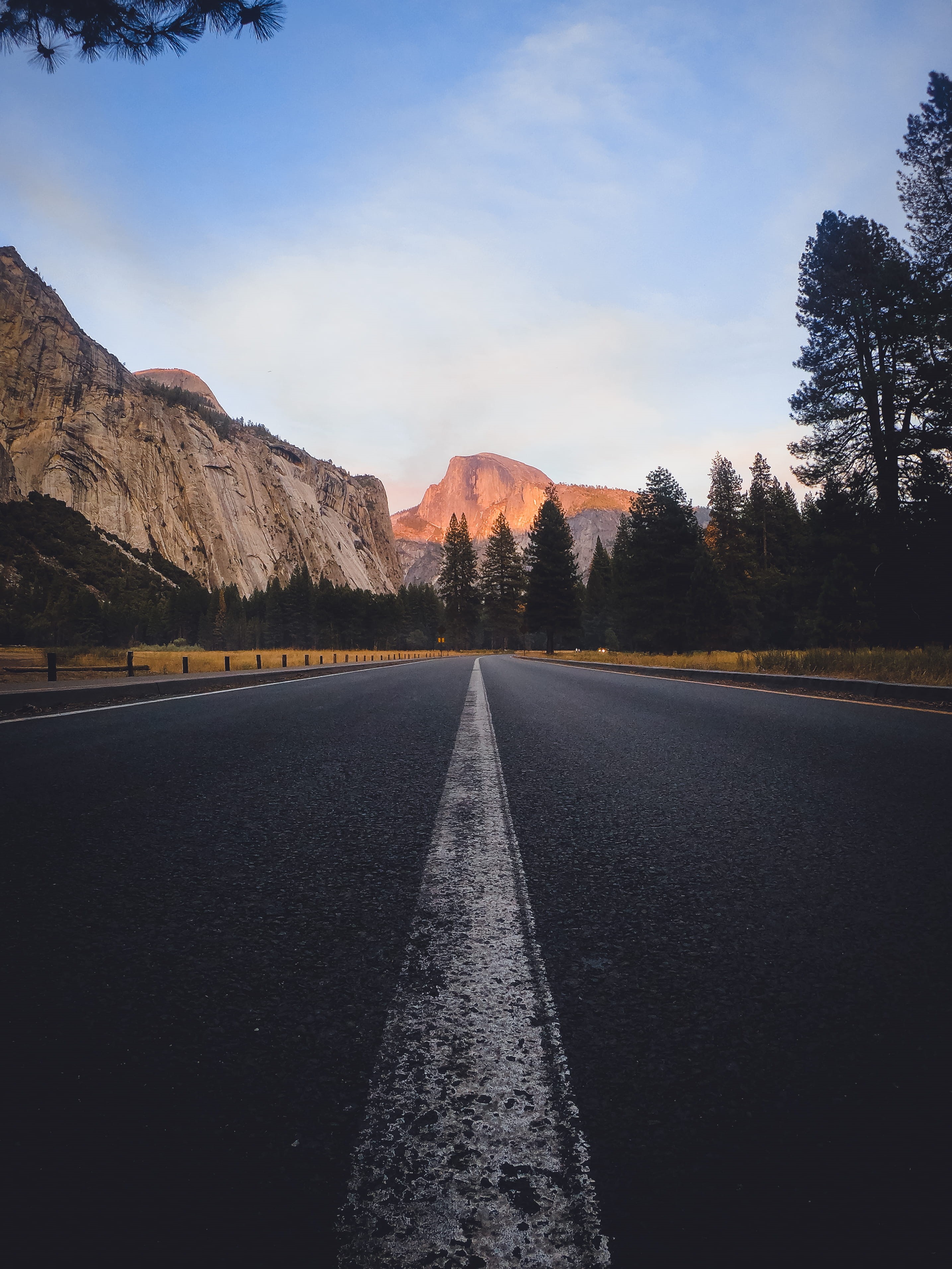 united states, dividing line, marking, the way forward, tranquil scene, walkway, yosemite valley, mountain, empty, beauty in nature, vanishing point, plant, Phone HD Wallpaper