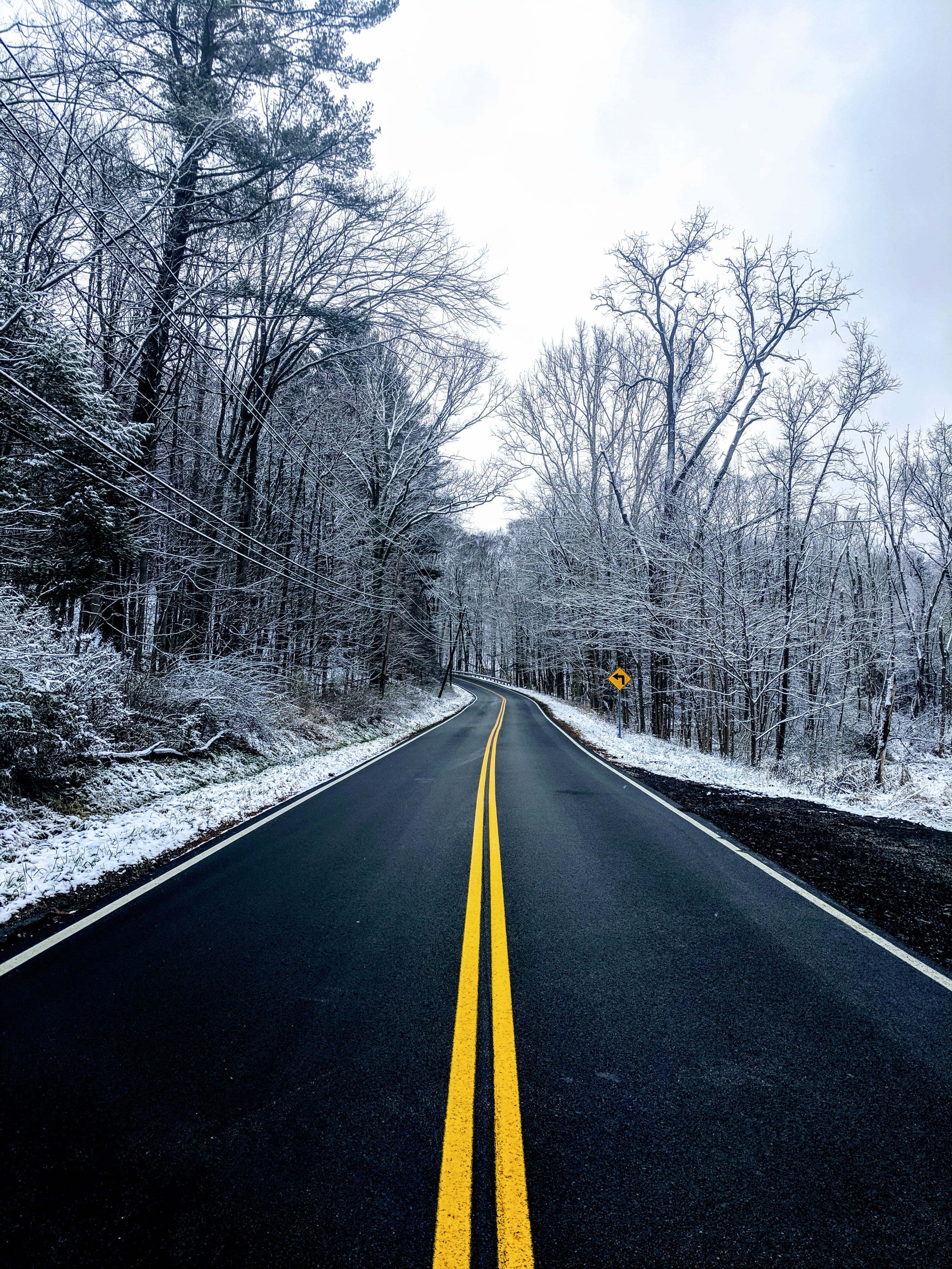ohio, road trip, tree, plant, winter, the way forward, empty road, road marking, marking, bare tree, no people, national park, transportation, tent, way, Phone HD Wallpaper