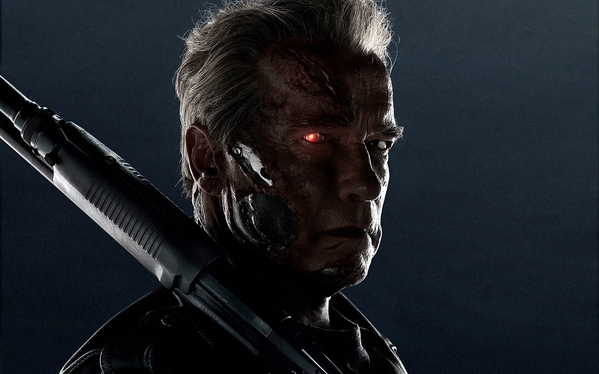 livestock, pets, Terminator, headshot, one animal, t, looking at camera, close-up, Arnold, domestic, horse, portrait, Genisys, 1080P, indoors, mammal, HD Wallpaper
