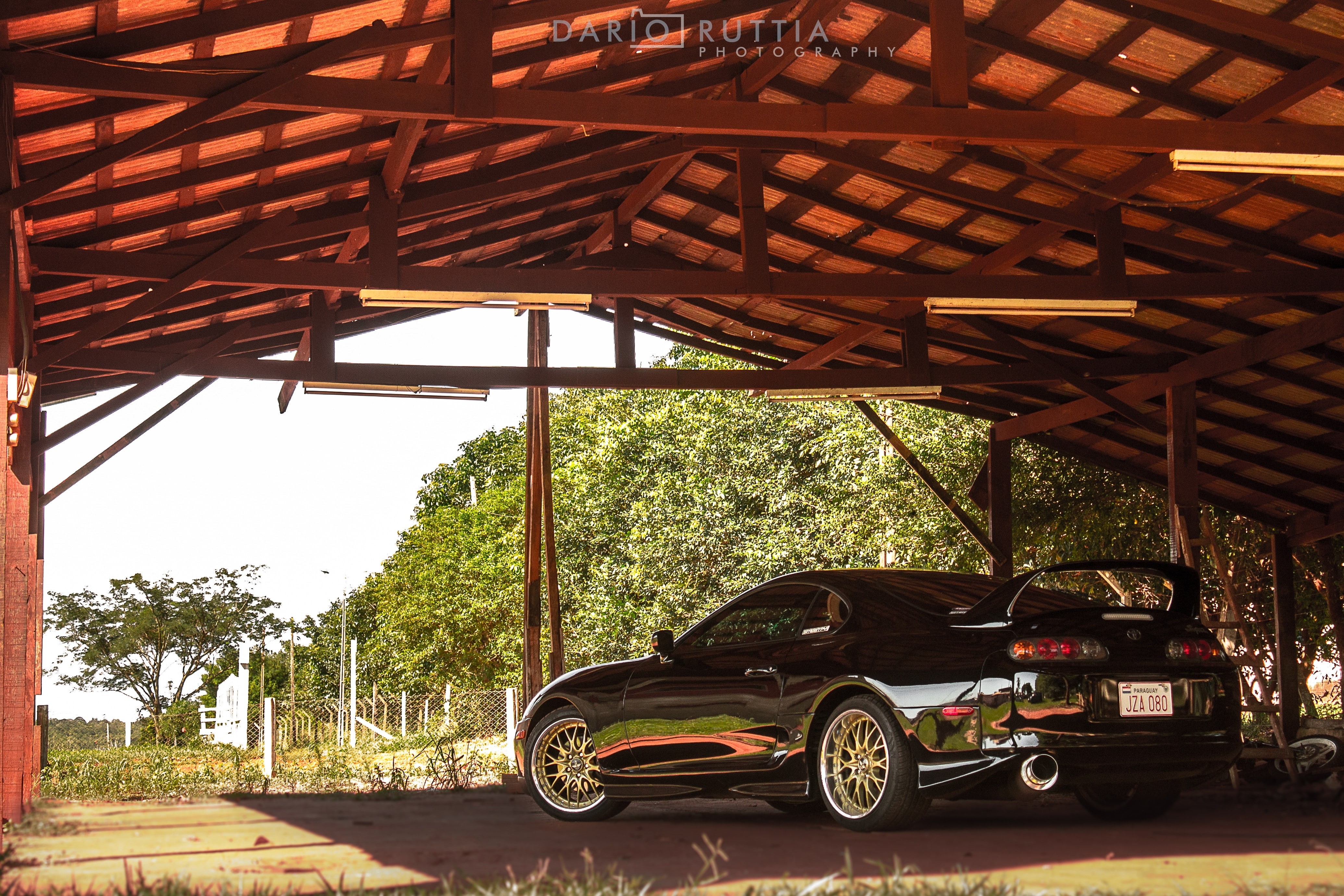 Toyota Supra, Toyota, travel, 4K, tree, ceiling, stationary, architecture, day, plant, no people, roof, nature, land vehicle, land, wood - material, car, HD Wallpaper