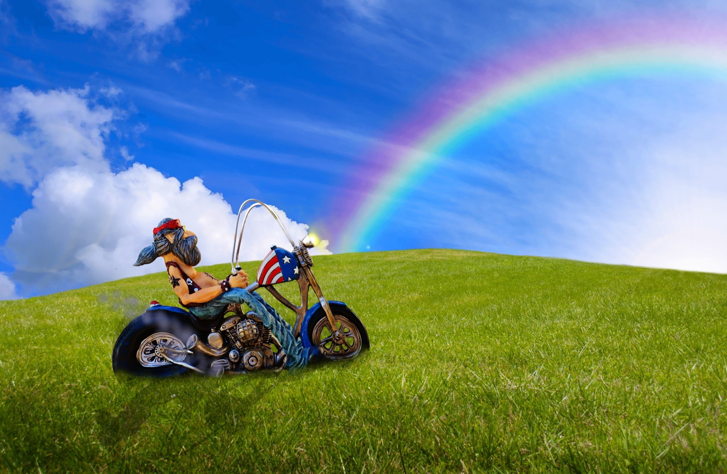 cruiser, leisure activity, motorcycles, outdoors, harley davidson, two wheeled vehicle, 1080P, asphalt, field, natural phenomenon, cool, universe, meadow, HD Wallpaper