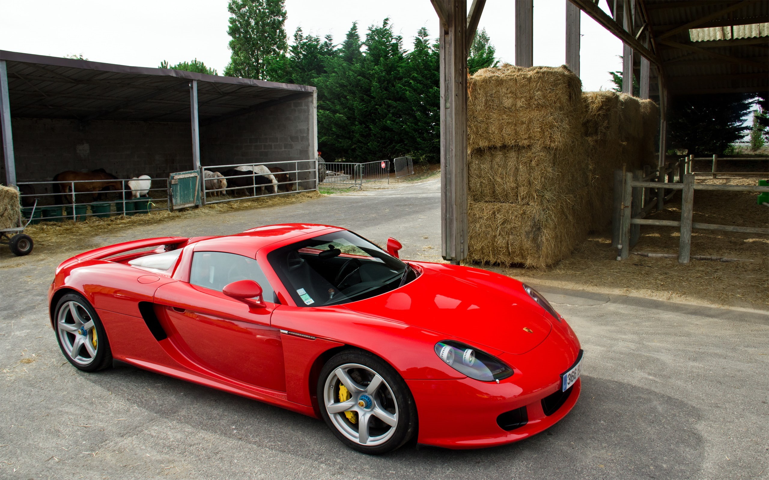 cars, hd, carrera, 2K, gt, porsche, HD Wallpaper