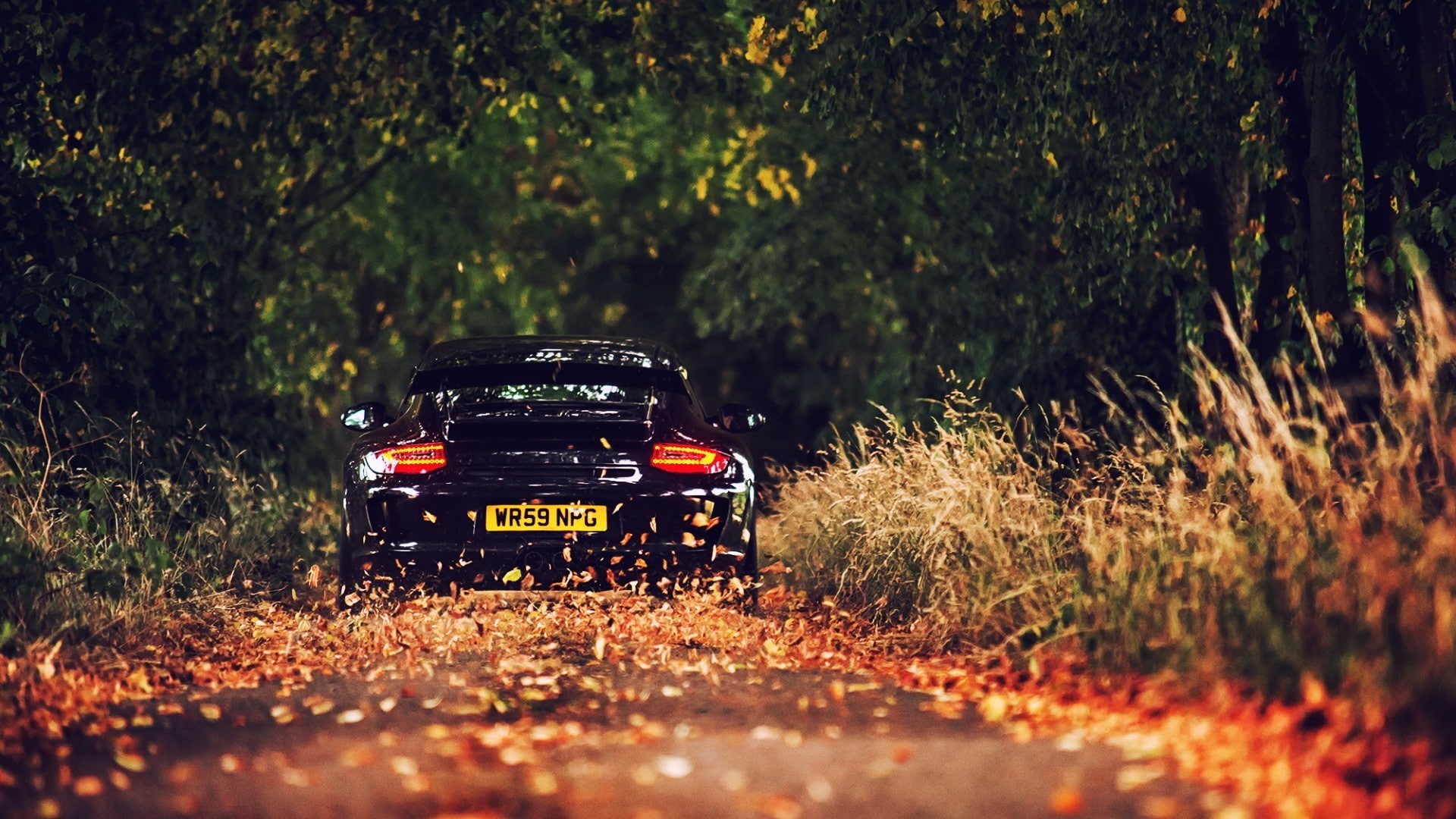 1080P, car, Porsche 911 GT3, Porsche, HD Wallpaper