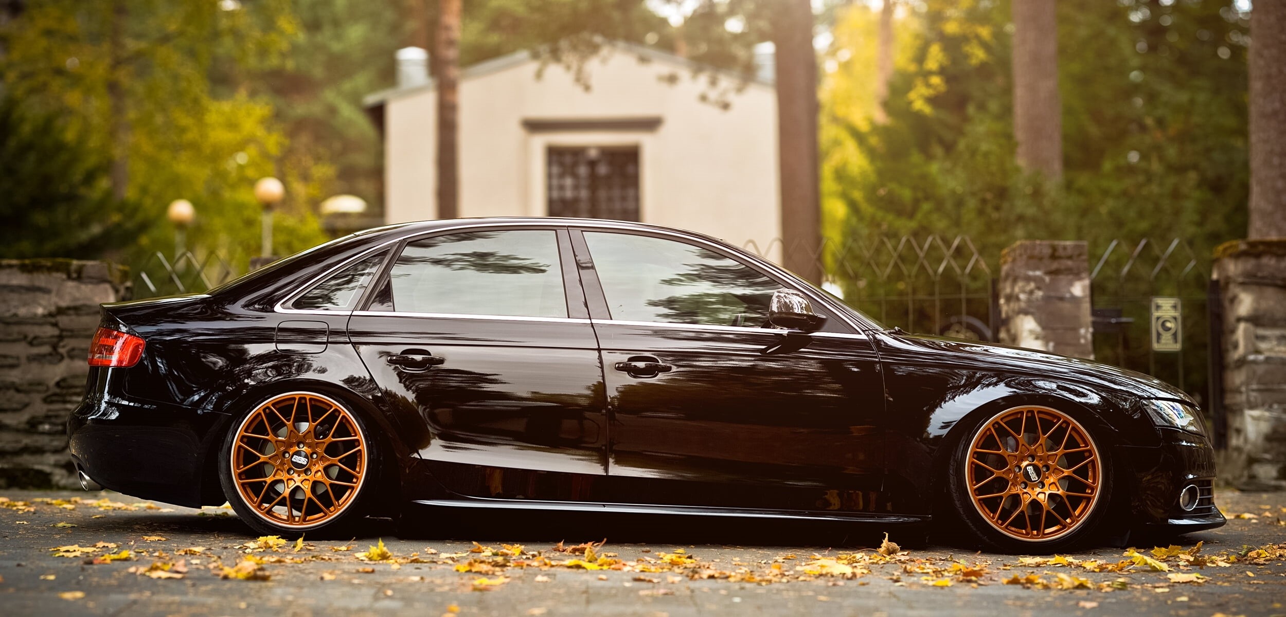 speed, autumn, street, city, the past, transportation, engine, technology, sedan, nature, leaves, leaf, tire, Audi A4 B8, plant, land Vehicle, focus on foreground, HD Wallpaper