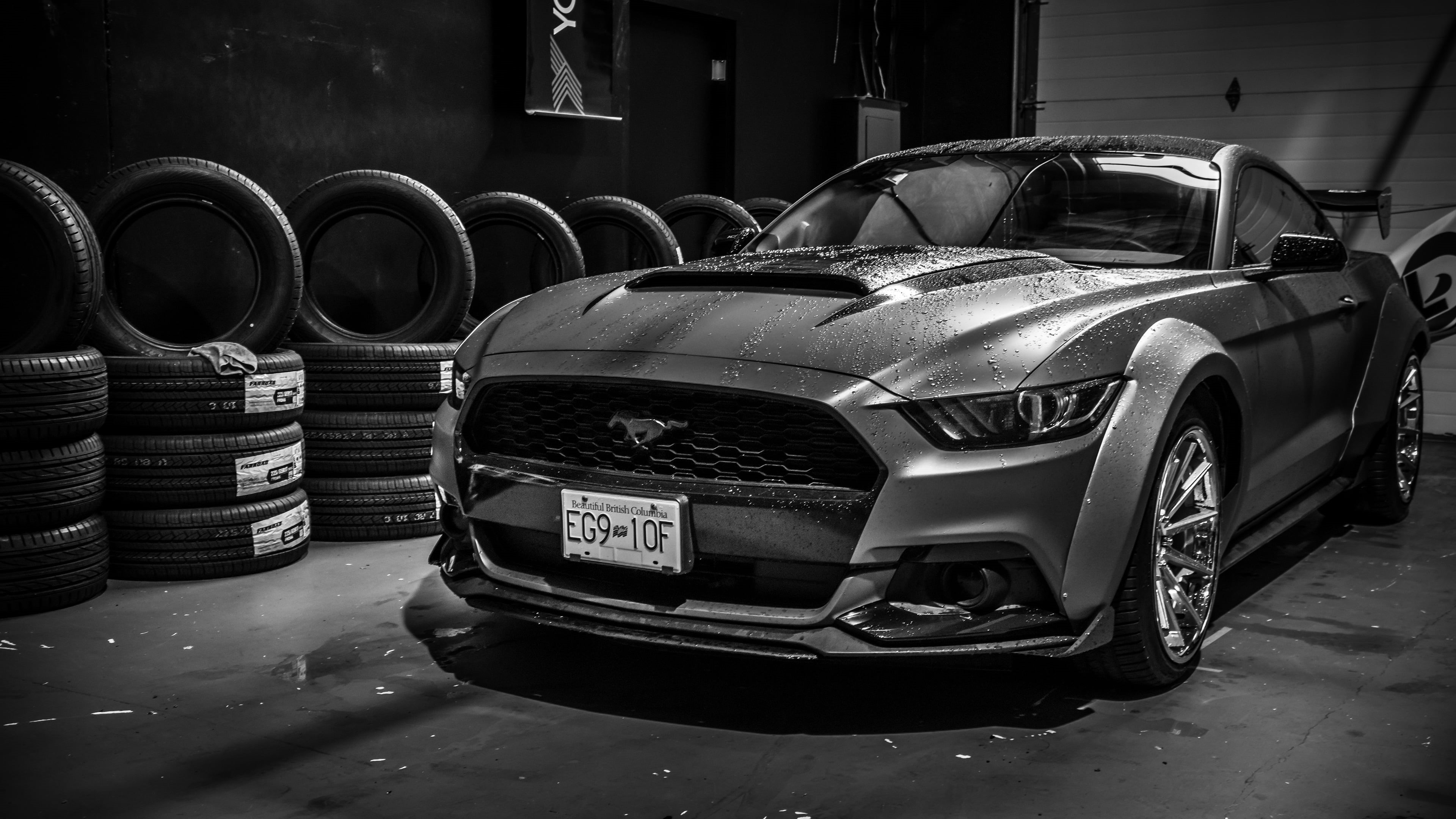 4K, Ford Mustang, Ford Mustang Widebody, Widebody, Ford, HD Wallpaper