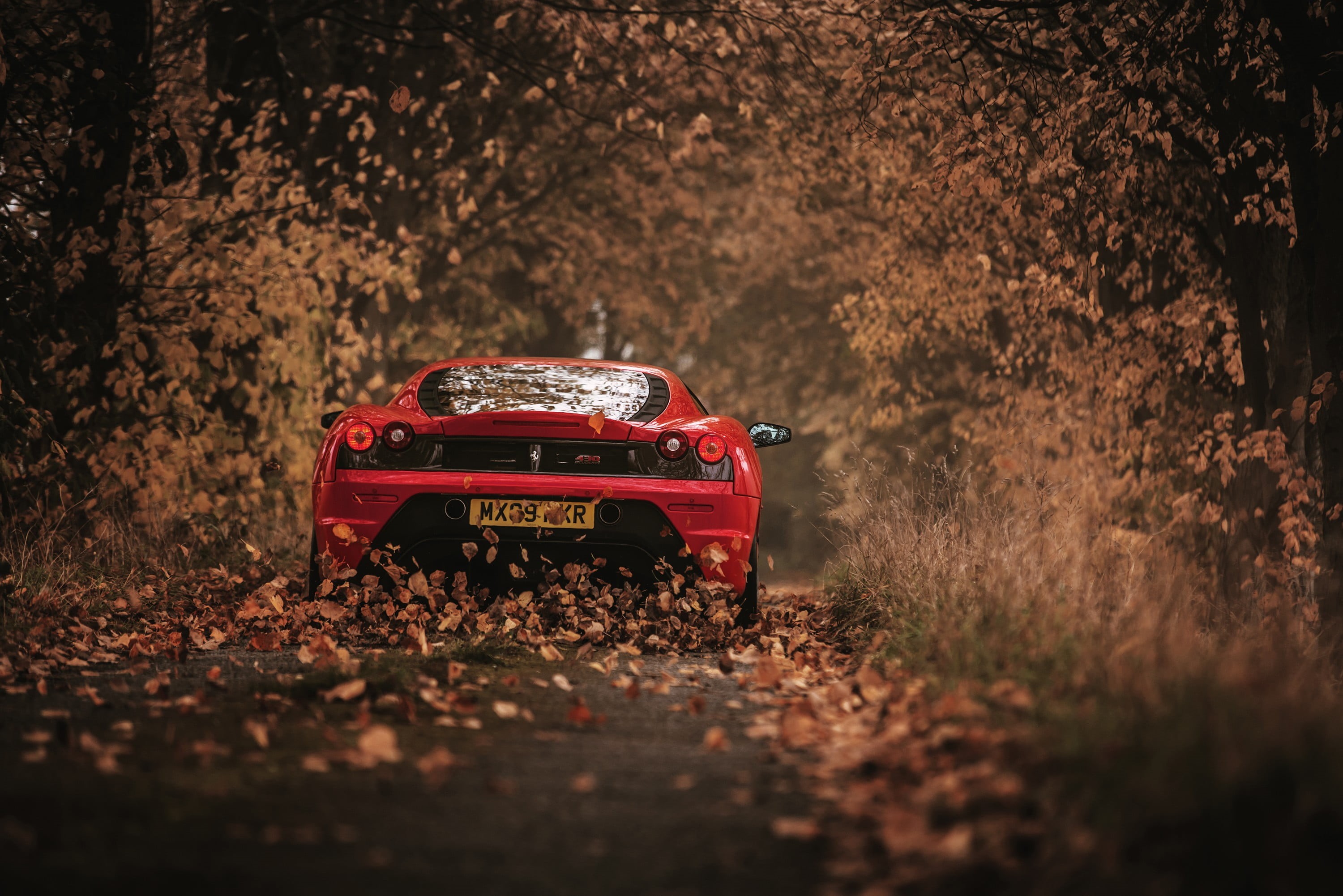 Ferrari, mode of Transport, transportation, mini Cooper, retro Styled, red, headlight, land, nature, toy, rear-View Mirror, plant, tire, compact Car, 2K, HD Wallpaper