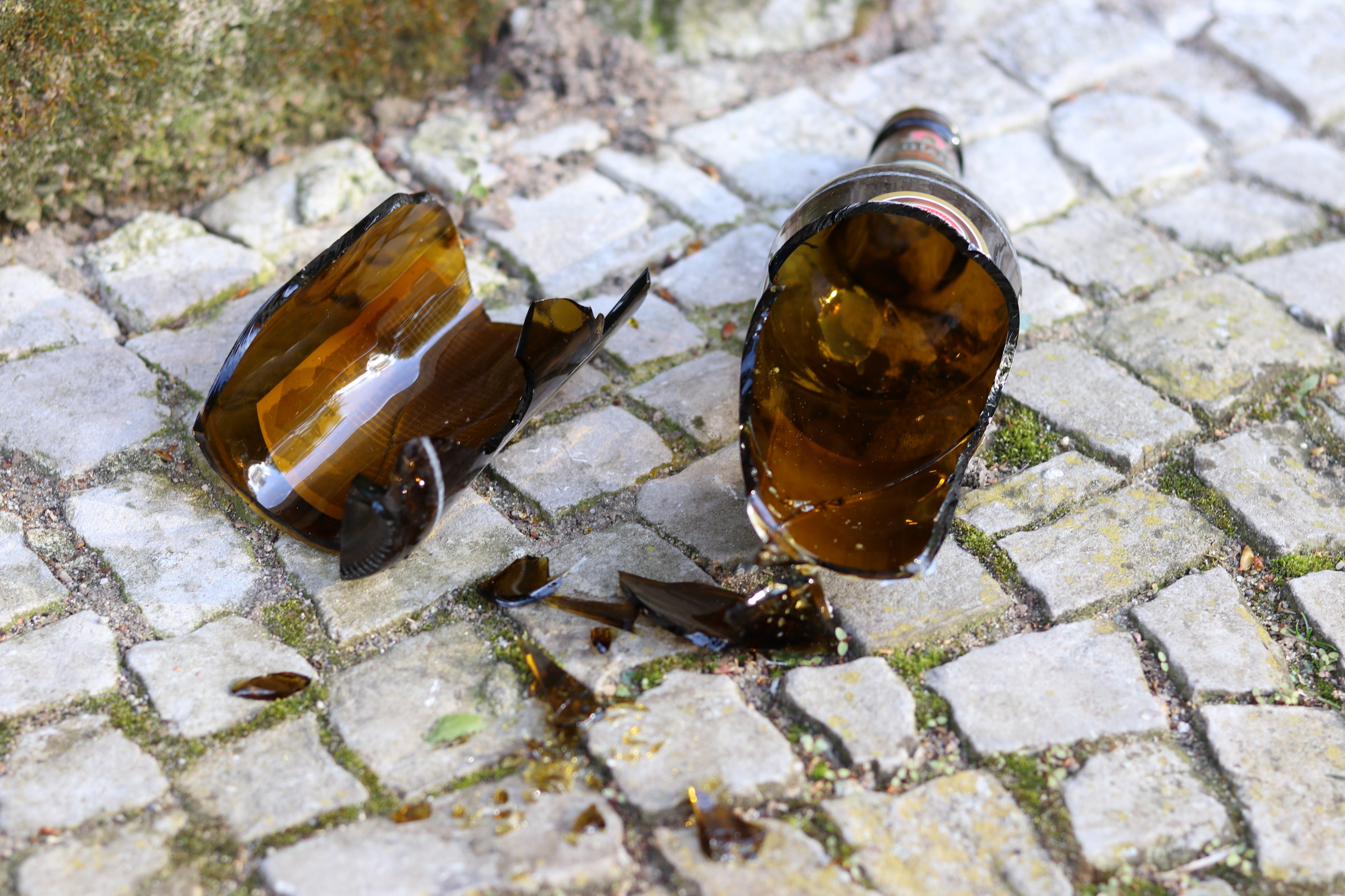 animals in the wild, cobblestone, Shard, water, destroyed, still life, footpath, 5K, animal themes, environmental protection, no people, Broken Glass, HD Wallpaper