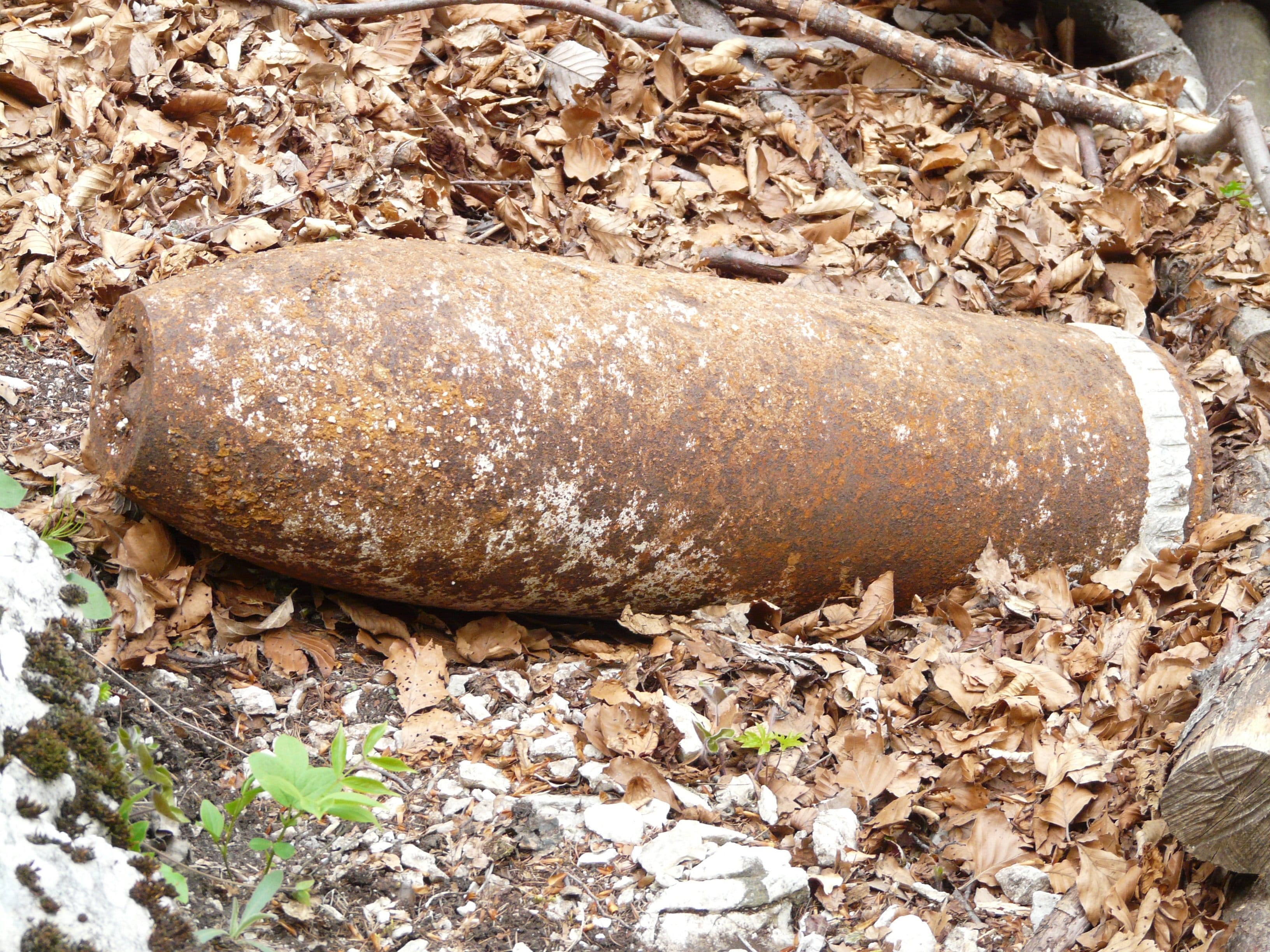 shell, freshness, brown, field, food, stone - object, Flying Bomb, World War I, ammunition, close-up, dry, rock, Grenade, rock - object, war, plant, explosion, HD Wallpaper
