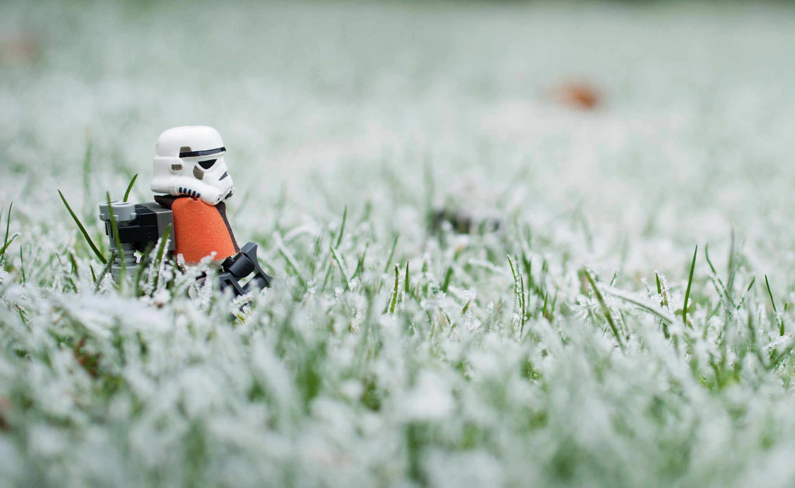 outdoors, cold temperature, Games, Frost, Lego, growth, beauty in nature, star, Star Wars, selective focus, winter, no people, wars, nature, Grass, day, HD Wallpaper