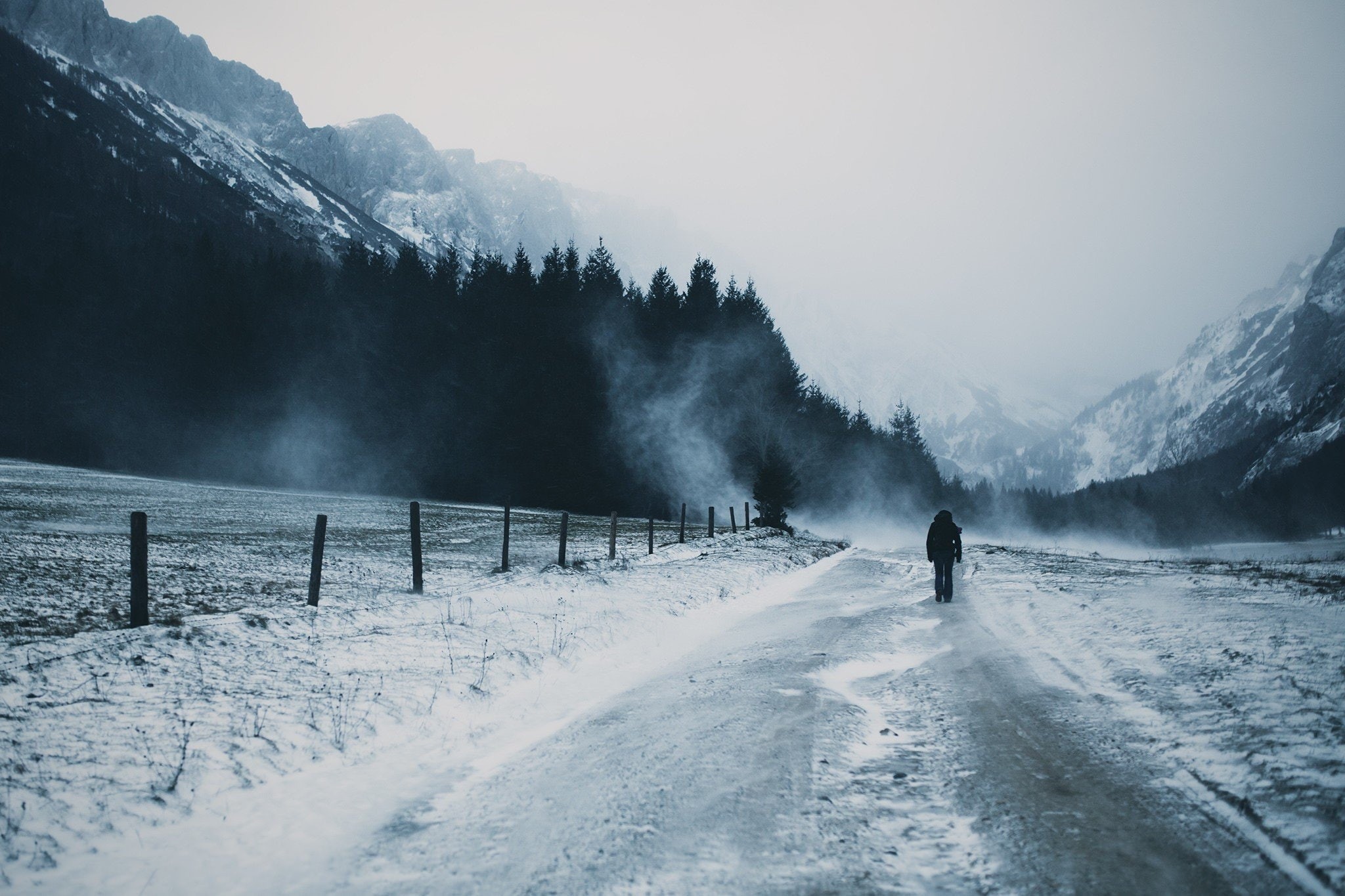 cg, art, 1080P, trees, d, Pine Trees, mountain, hd, x, abstract, px, 2048x1365 px, pine, snow, road, HD Wallpaper