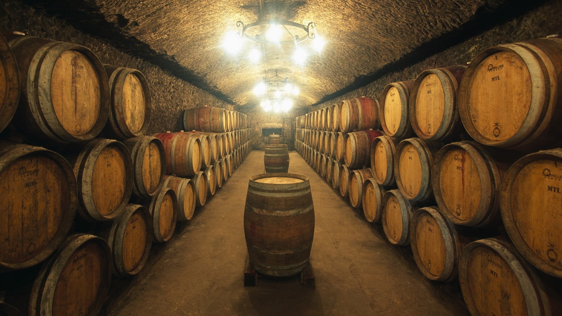 large group of objects, wine, wood, electric lamp, barrels, alcohol, cylinder, in a row, distillation, wine cask, wine cellar, winery, indoors, wooden, HD Wallpaper