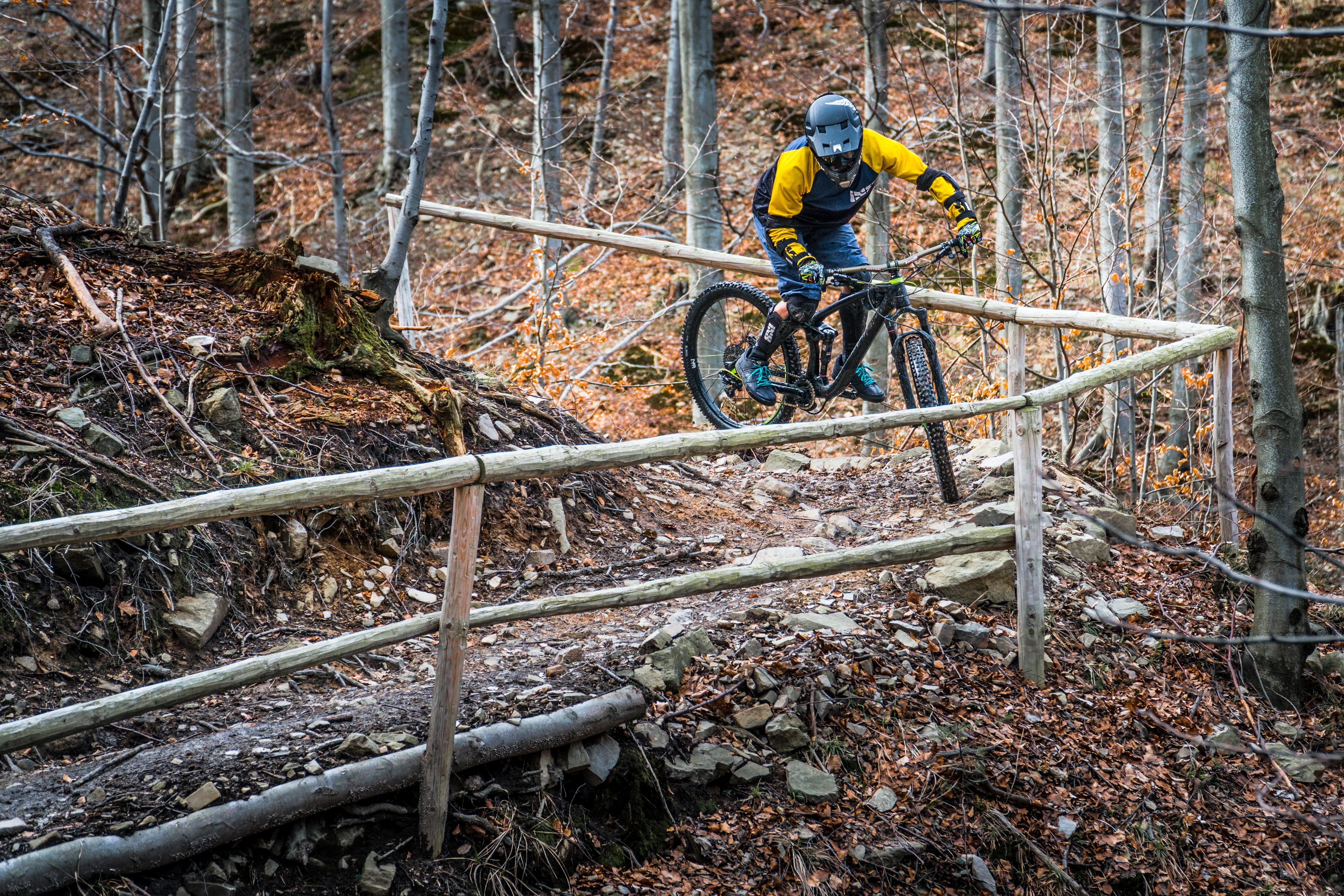 one person, bicycle, skill, lifestyles, plant, leisure activity, enduro, real people, tree, transportation, land, allmountain, forest, land vehicle, 5K, HD Wallpaper