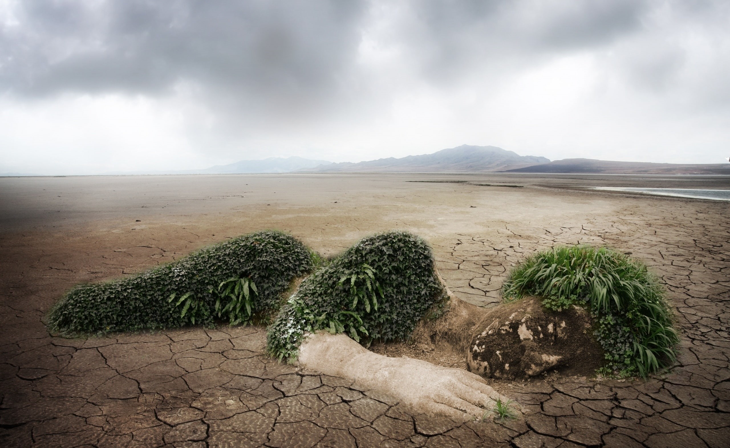 semi-arid, green color, Nature, growth, responsibility, land, cloud - sky, Pollution, 2K, save, arid climate, earth, Green, Charity, ecology, HD Wallpaper