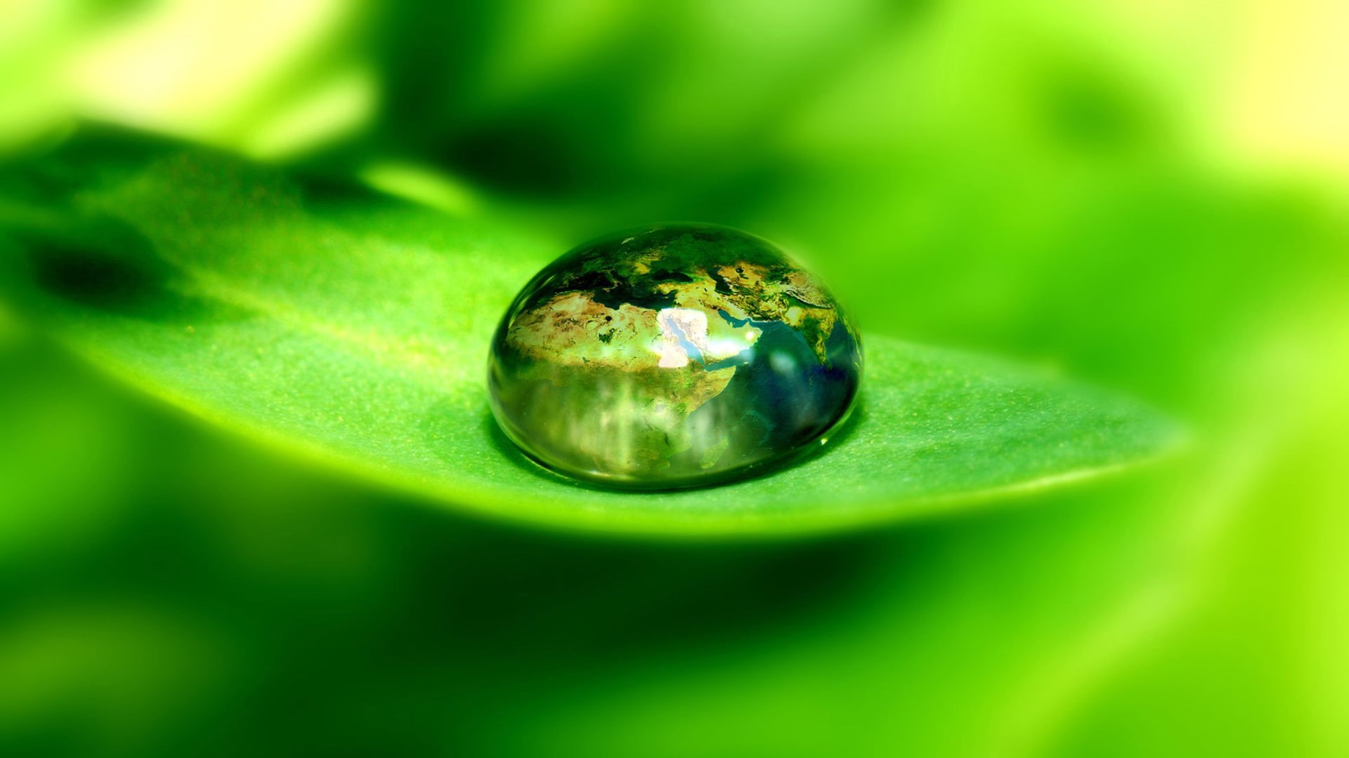 macro, world, green, leaf, drop, floral, hd, earth, nature, bead, water, 1080P, HD Wallpaper