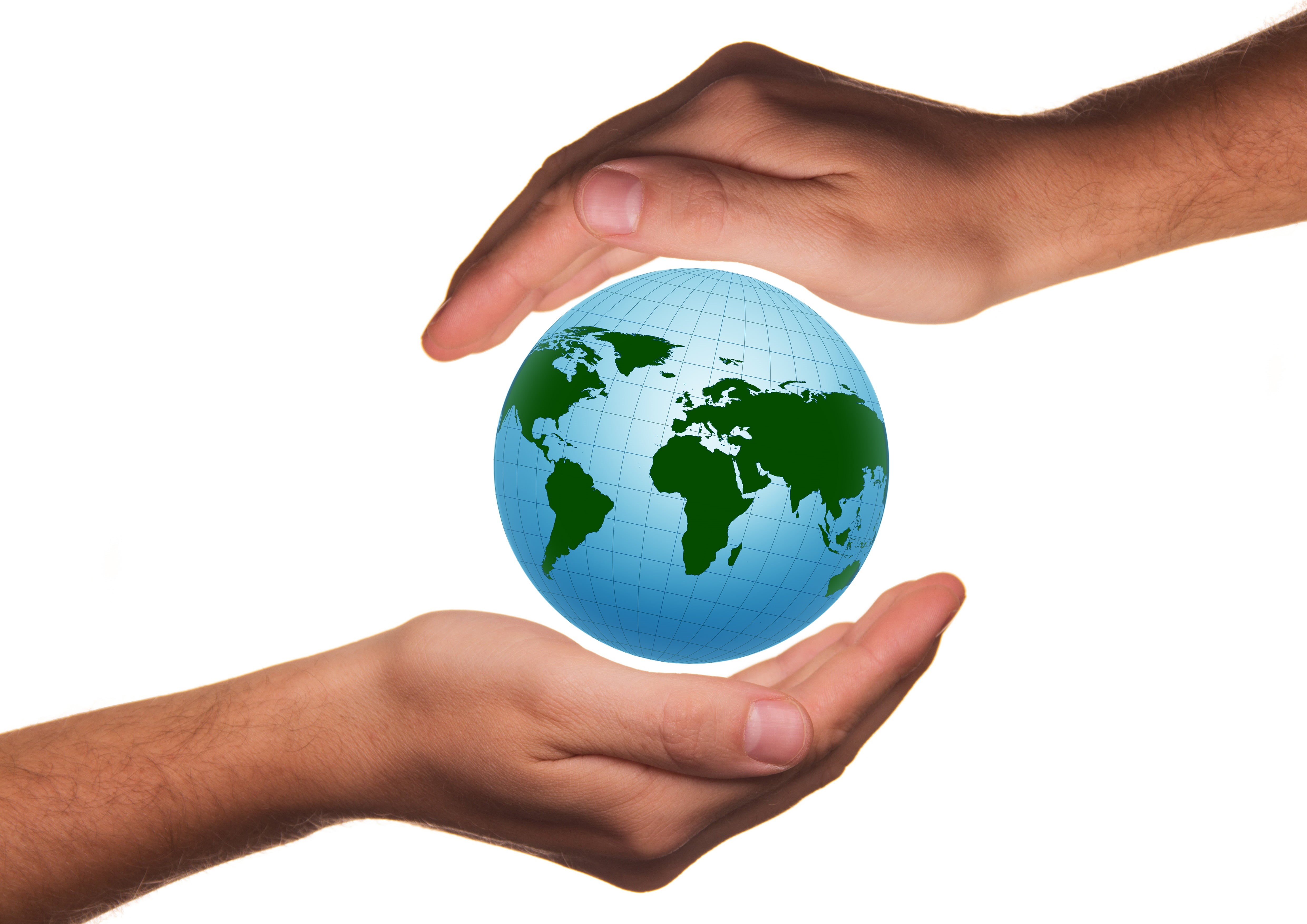 human body part, white background, handful of, communication, business, human Hand, 4K, globe, global business, responsibility, finger, world, earth, planet - Space, HD Wallpaper