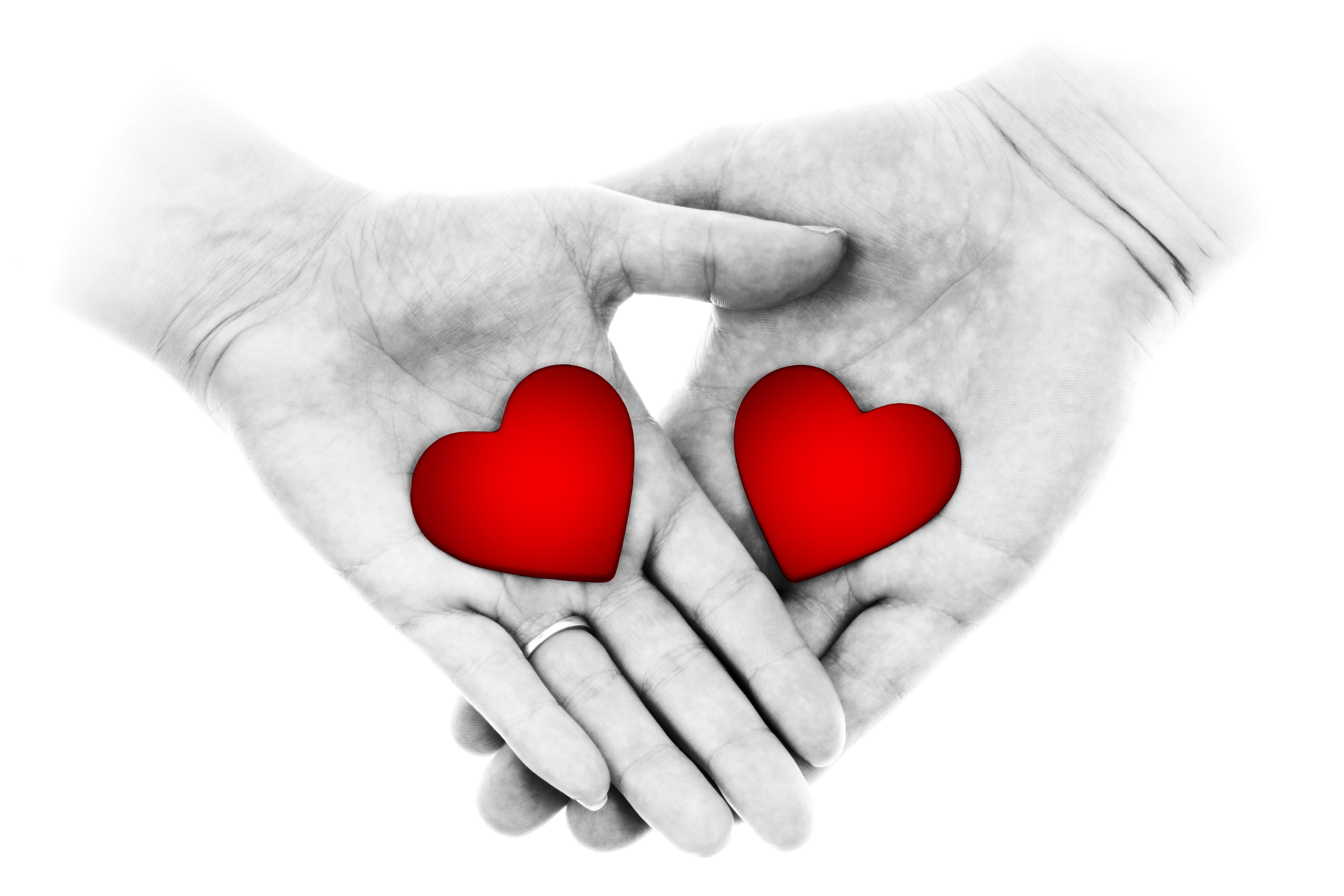 passion, give, two, couple, feeling, romantic, body part, human Hand, heart, emotion, studio shot, 5K, woman, care, holding, close-up, heart Shape, two hands, HD Wallpaper