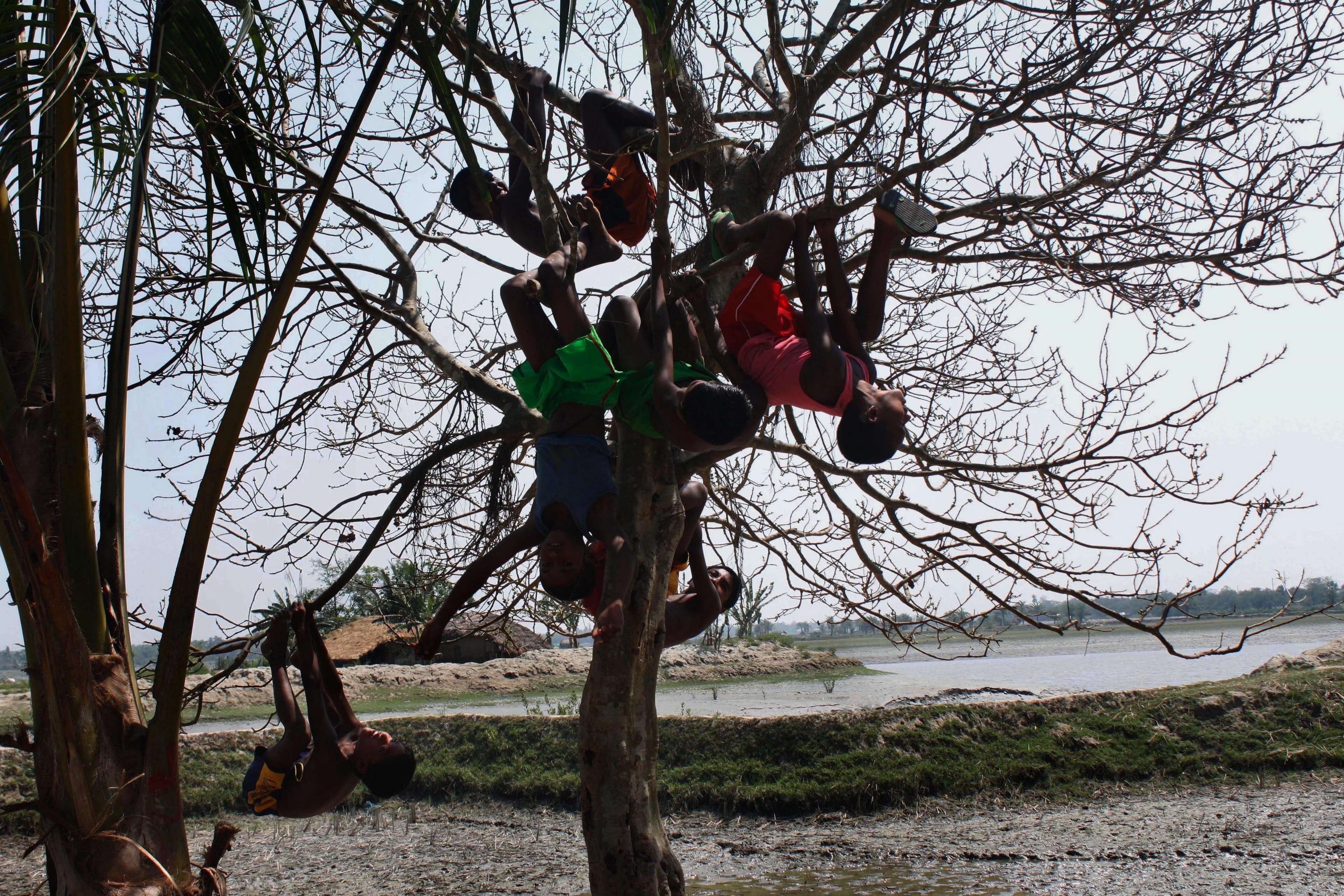 lifestyles, canal, bangladesh, sky, village, one person, tree, flower, leisure activity, day, nature, holding, plant, field, bow sport, bare tree, branch, HD Wallpaper