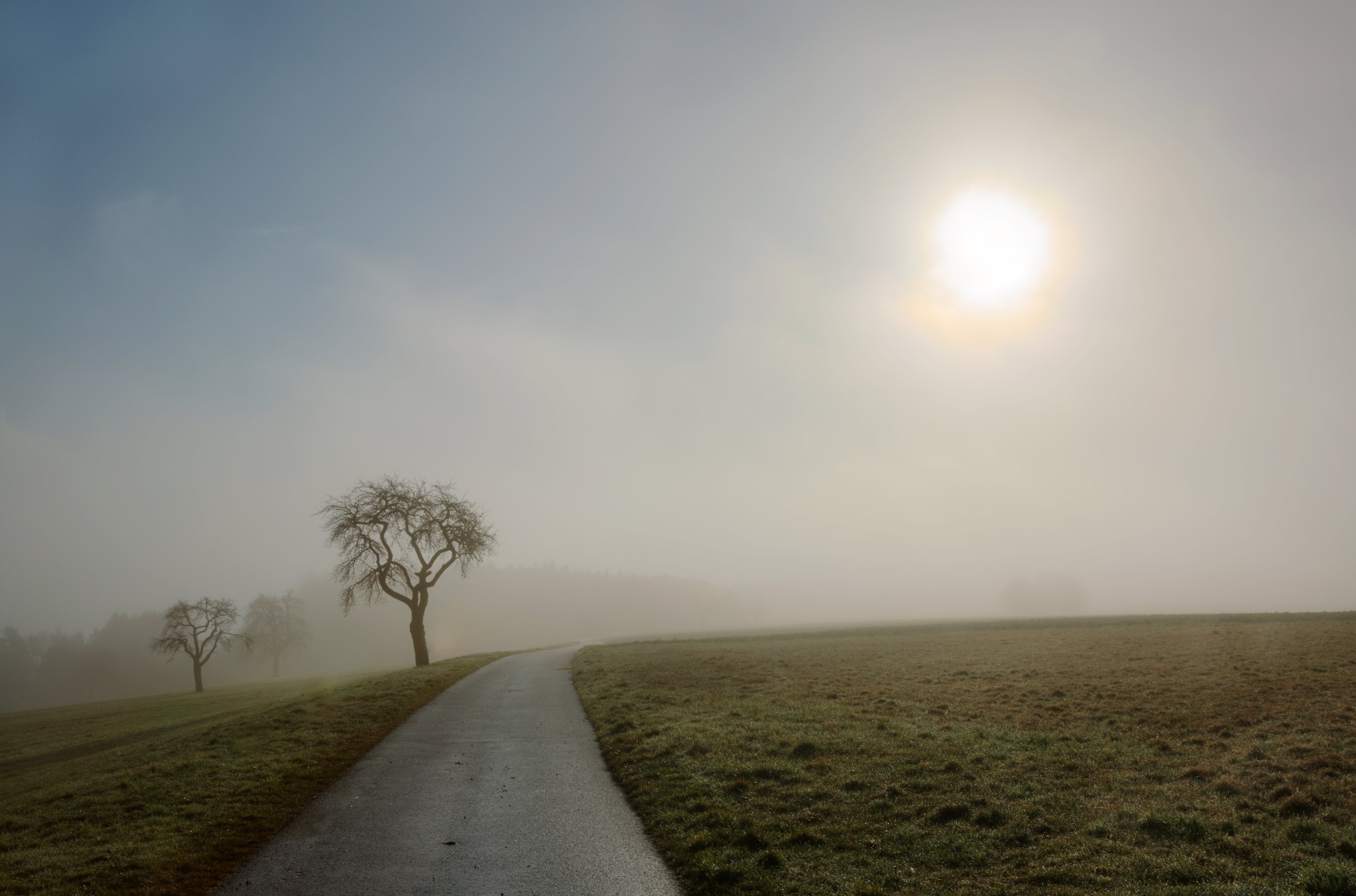 Fog, Feld, green grass, dem, road, Morning, 5K, concrete, field, grass, zur, road between, Baden Württemberg, Himmel, Tree, Sonne, landscape, Heute, auf, HD Wallpaper