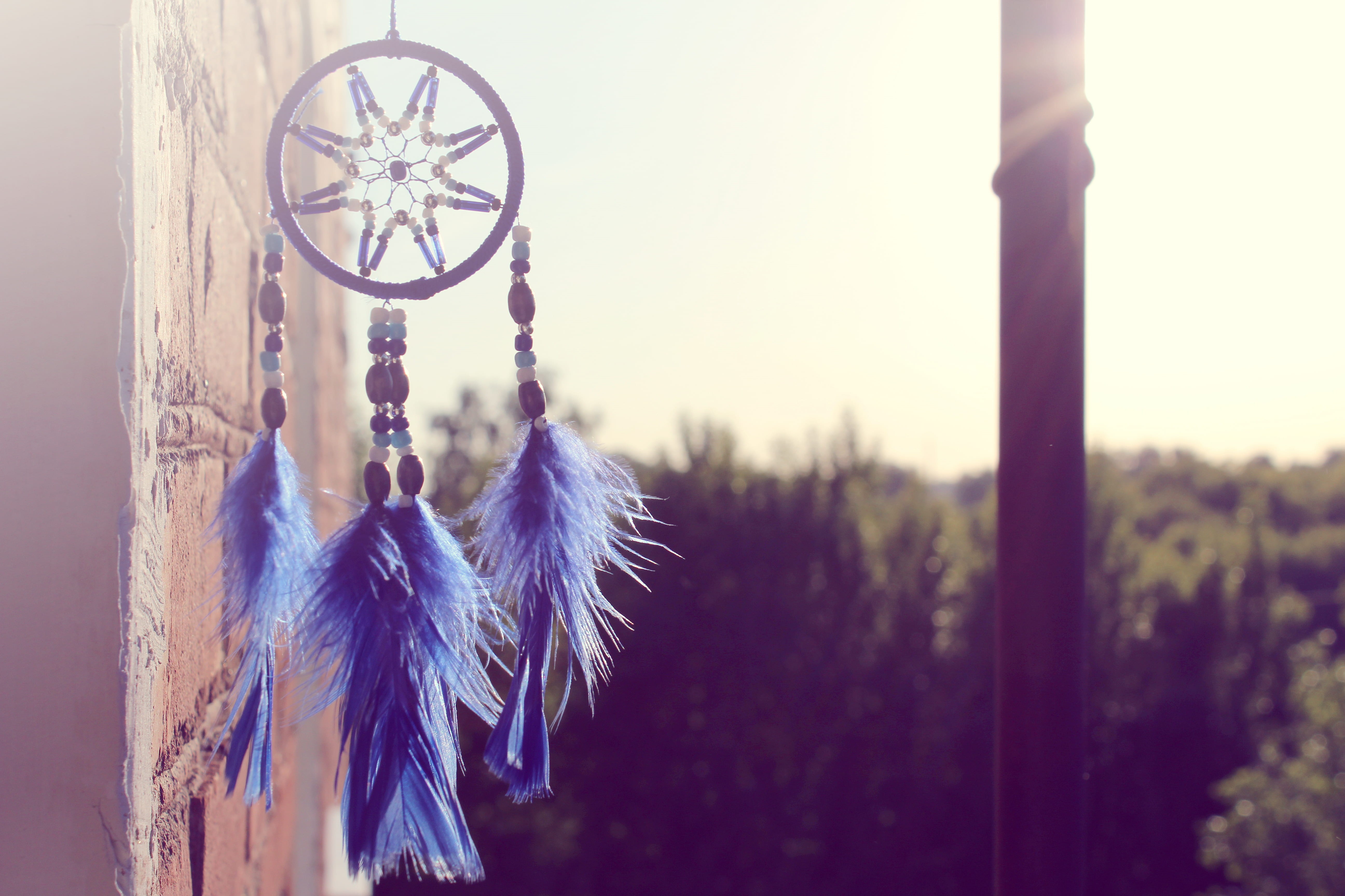 myth, wall, religion, luck, black, brown, selective, sunlight, dream, craft, dreamcatcher, decoration, purple, outdoors, sunshine, craft product, spirituality, HD Wallpaper