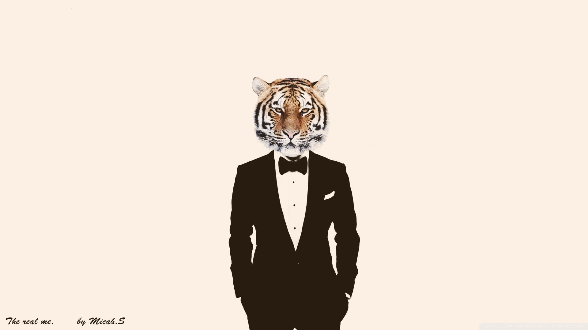 photo manipulation, studio shot, disguise, one person, suits, 1080P, black, indoors, representation, men, formal, copy space, mask, young adult, bizarre, HD Wallpaper
