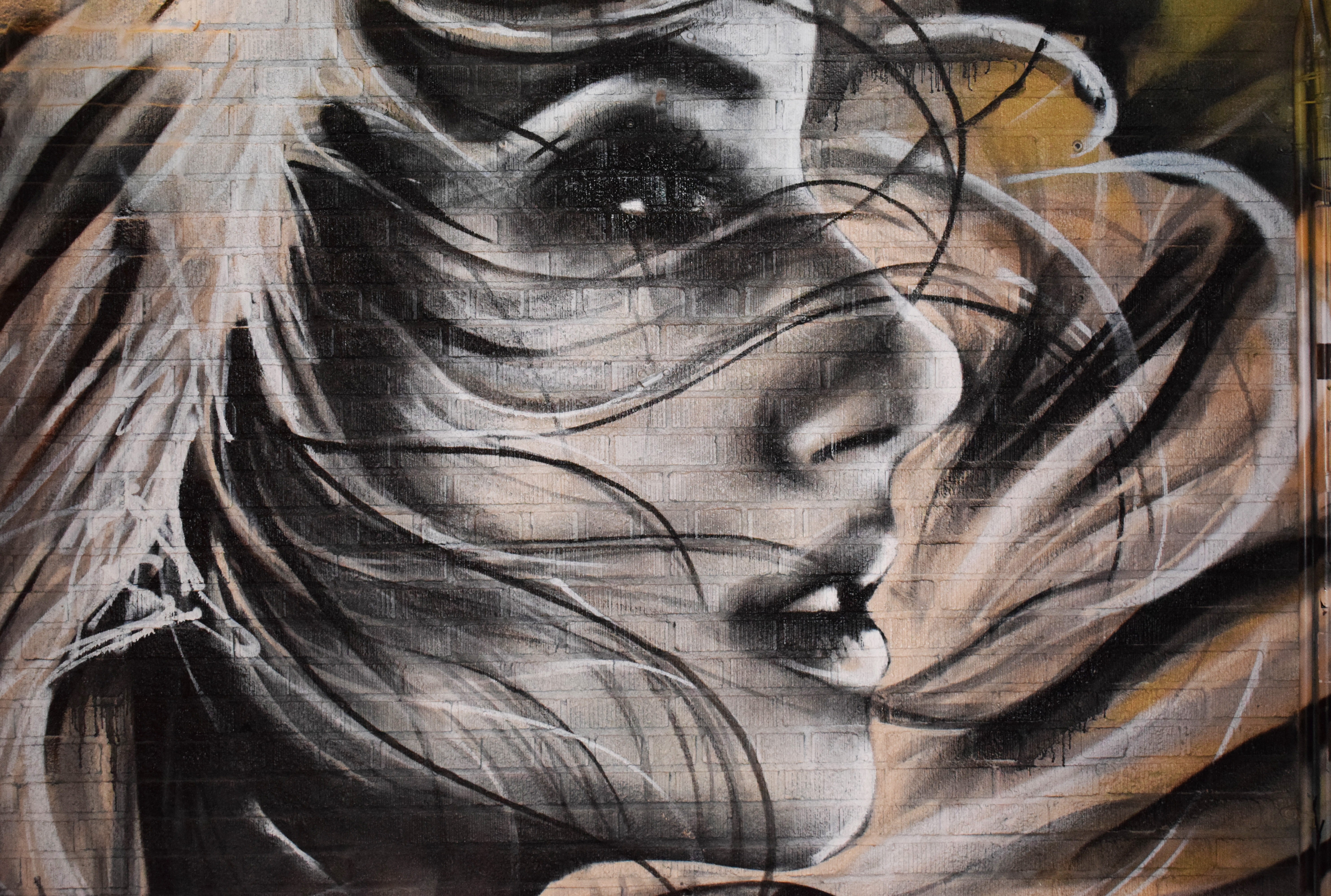 hair, creativity, nature, new york, art, textured, digital composite, representation, indoors, wood - material, street art, bust, textured effect, paint, HD Wallpaper