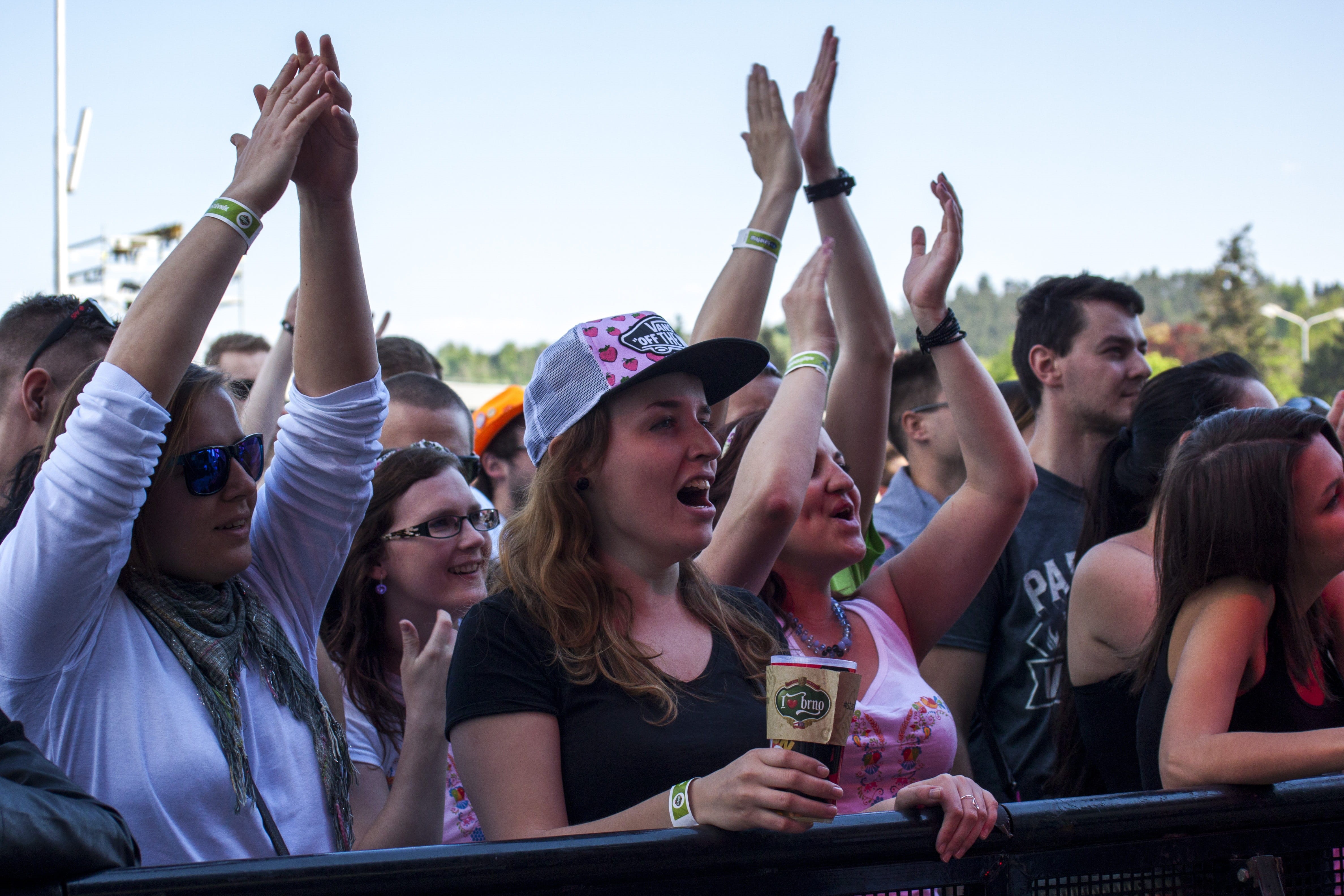 caucasian Ethnicity, music, the crowd, human limb, happiness, togetherness, limb, young men, cheering, men, women, festival, People, Crowd, photography, HD Wallpaper