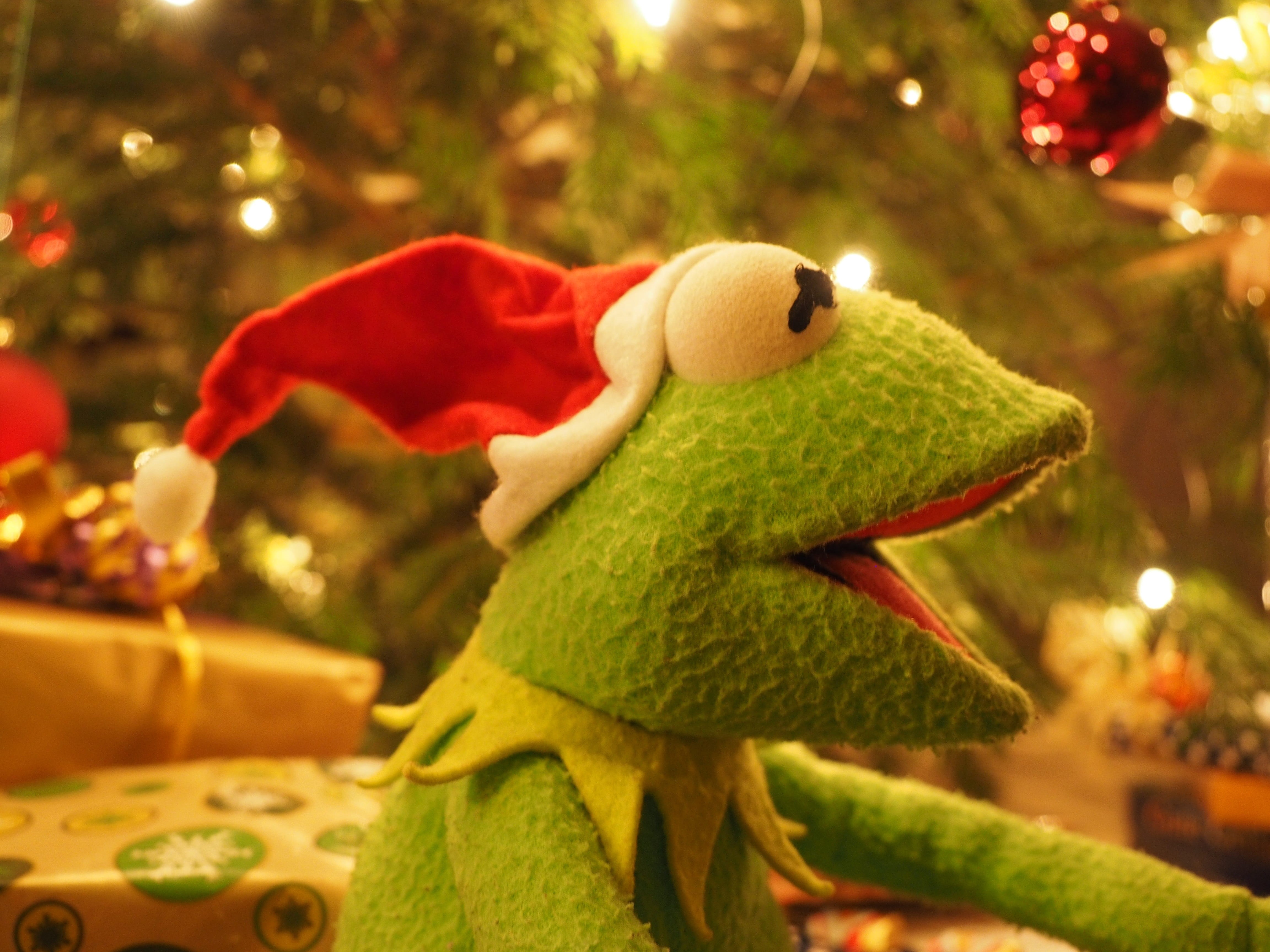 santa claus, tree, christmas, holiday, frog, 4K, gift, christmas ornament, good mood, representation, stuffed toy, funny, nature, decoration, childhood, HD Wallpaper
