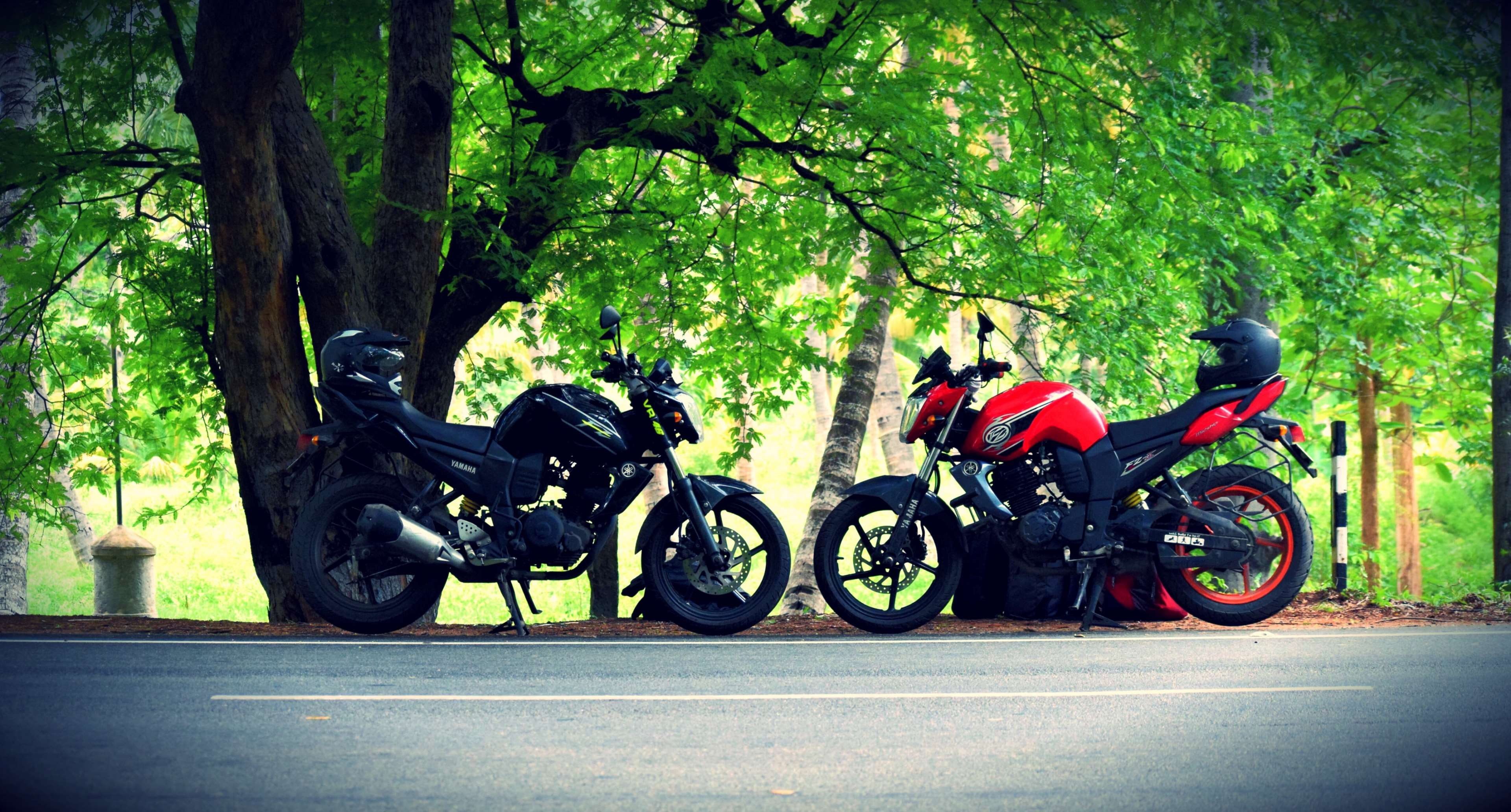 helmet, motorcycle, yamaha fzs, real people, crash helmet, 4K, plant, men, mode of transportation, tree, nature, trunk, red and black, road, travel, day, HD Wallpaper