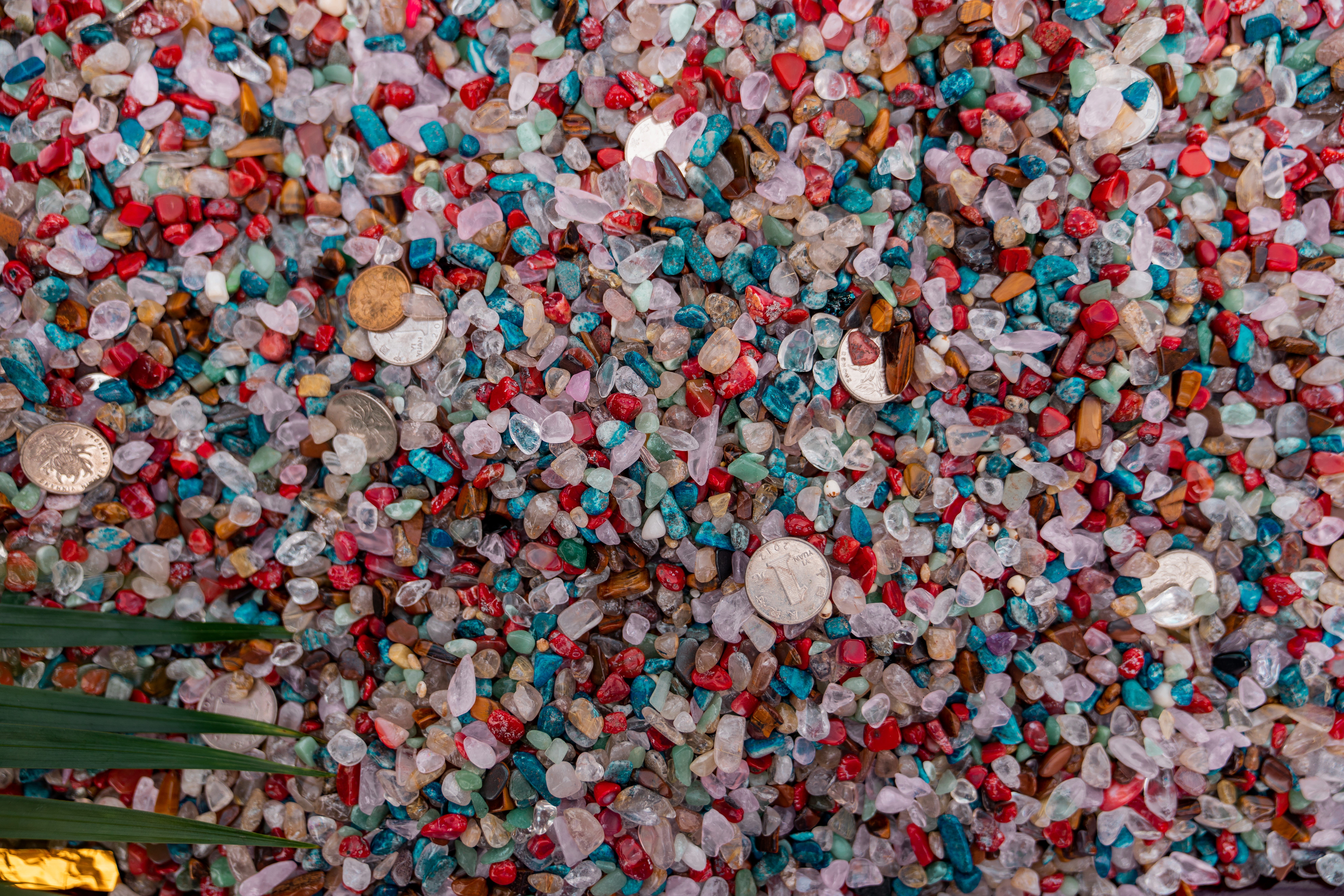 nature, abundance, full frame, drawer, close-up, insect, plastic bag, invertebrate, pebble, day, running, sports, 8K, large group of objects, dung beetle, HD Wallpaper
