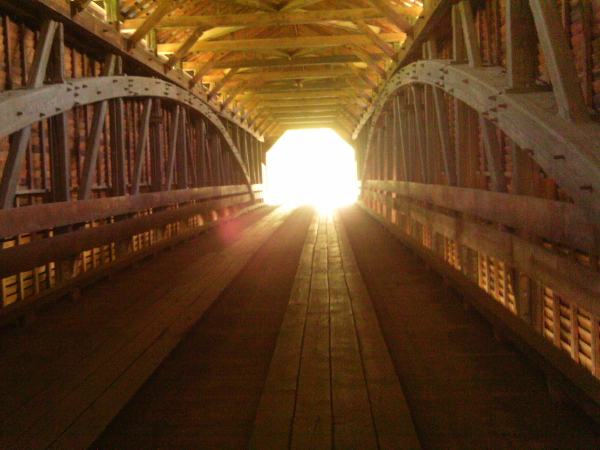 animals, meem, clear, va, s, bridge, 1080P, wood, covered, pathway, light, bottom, HD Wallpaper
