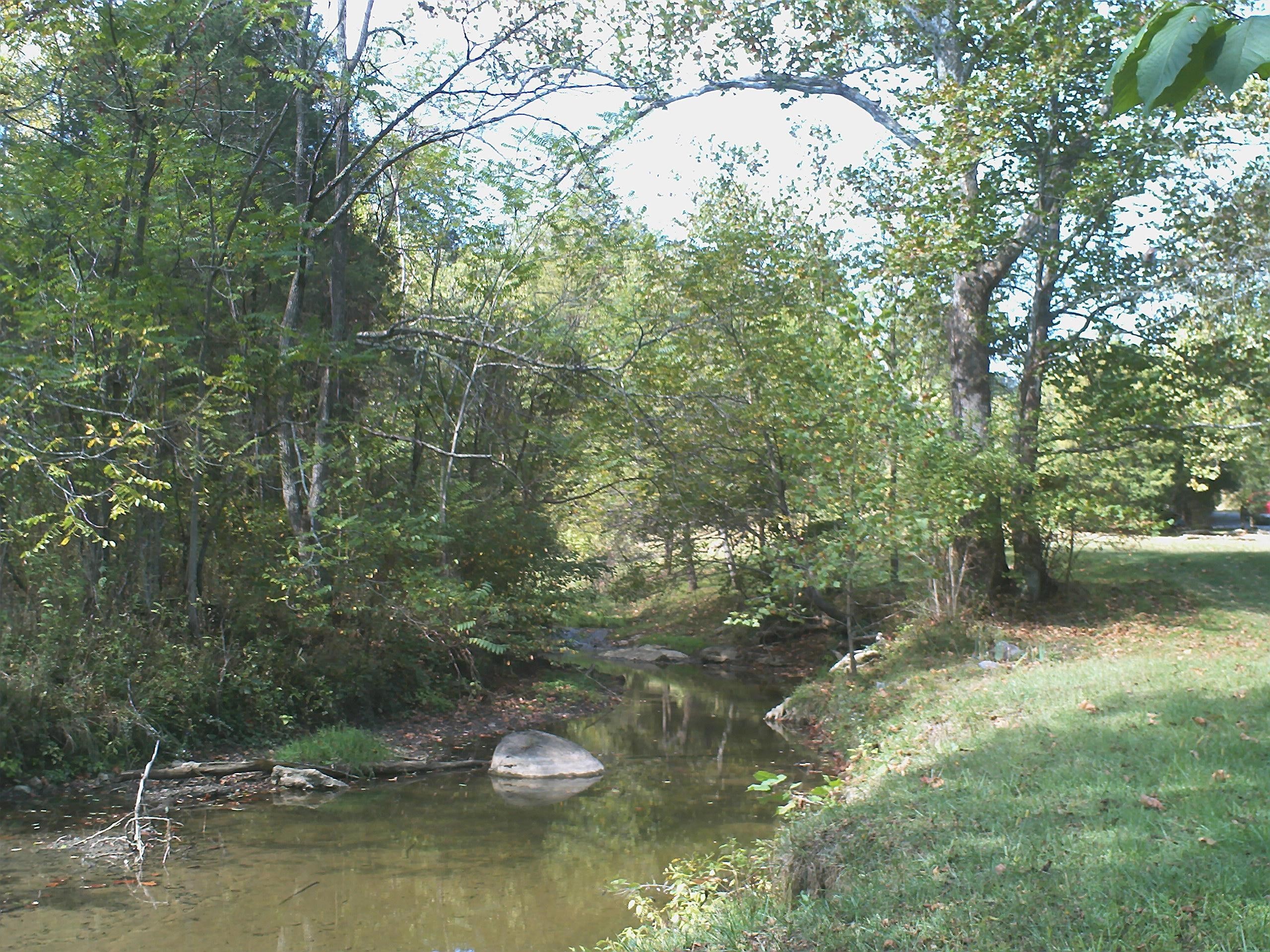 3d and abstract, landscape, water, cedar, va, peaceful, 2K, beautiful and quiet, creek, forest, HD Wallpaper